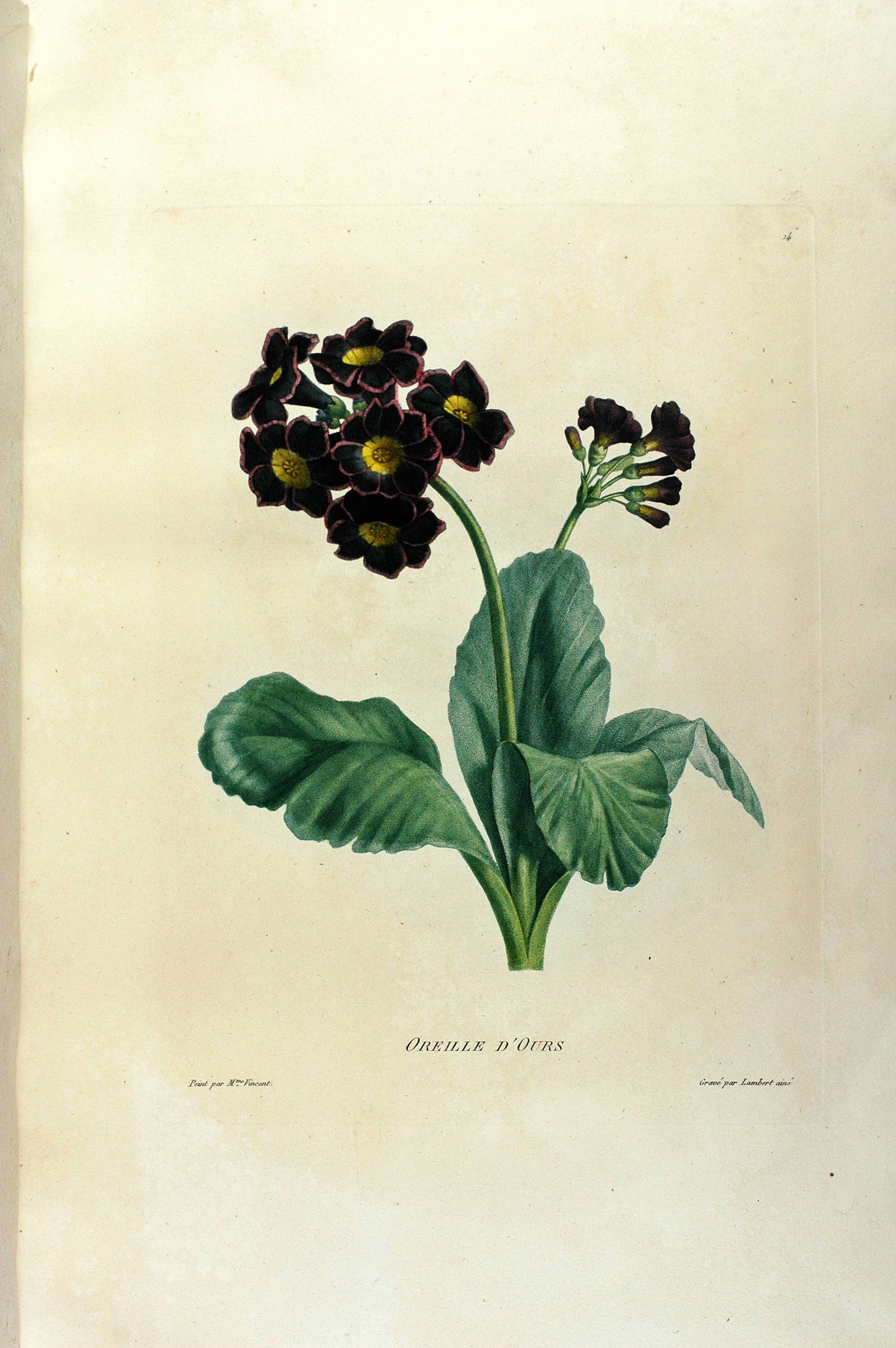 no full size  illustration available (3a)