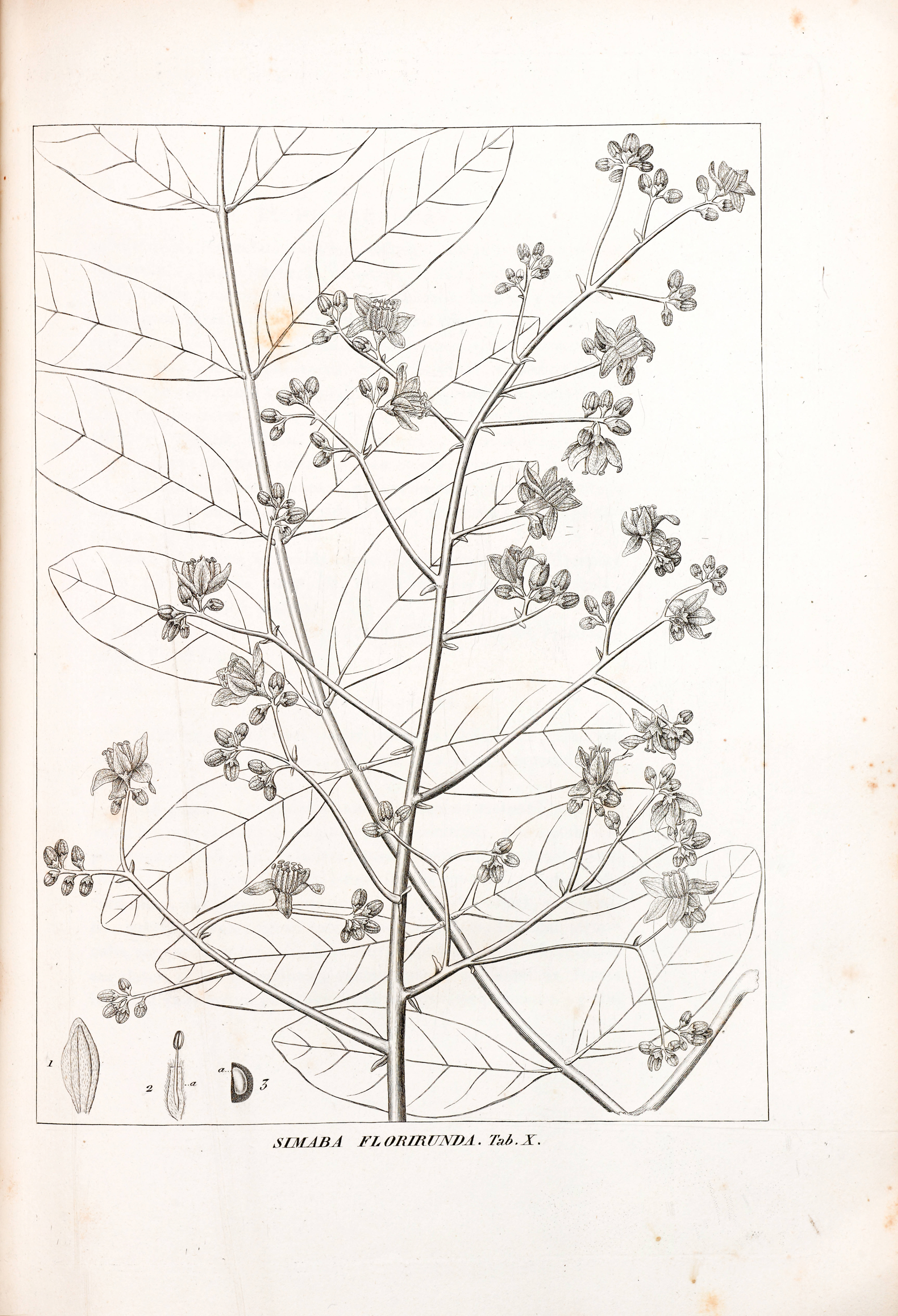 no full size  illustration available (3a)