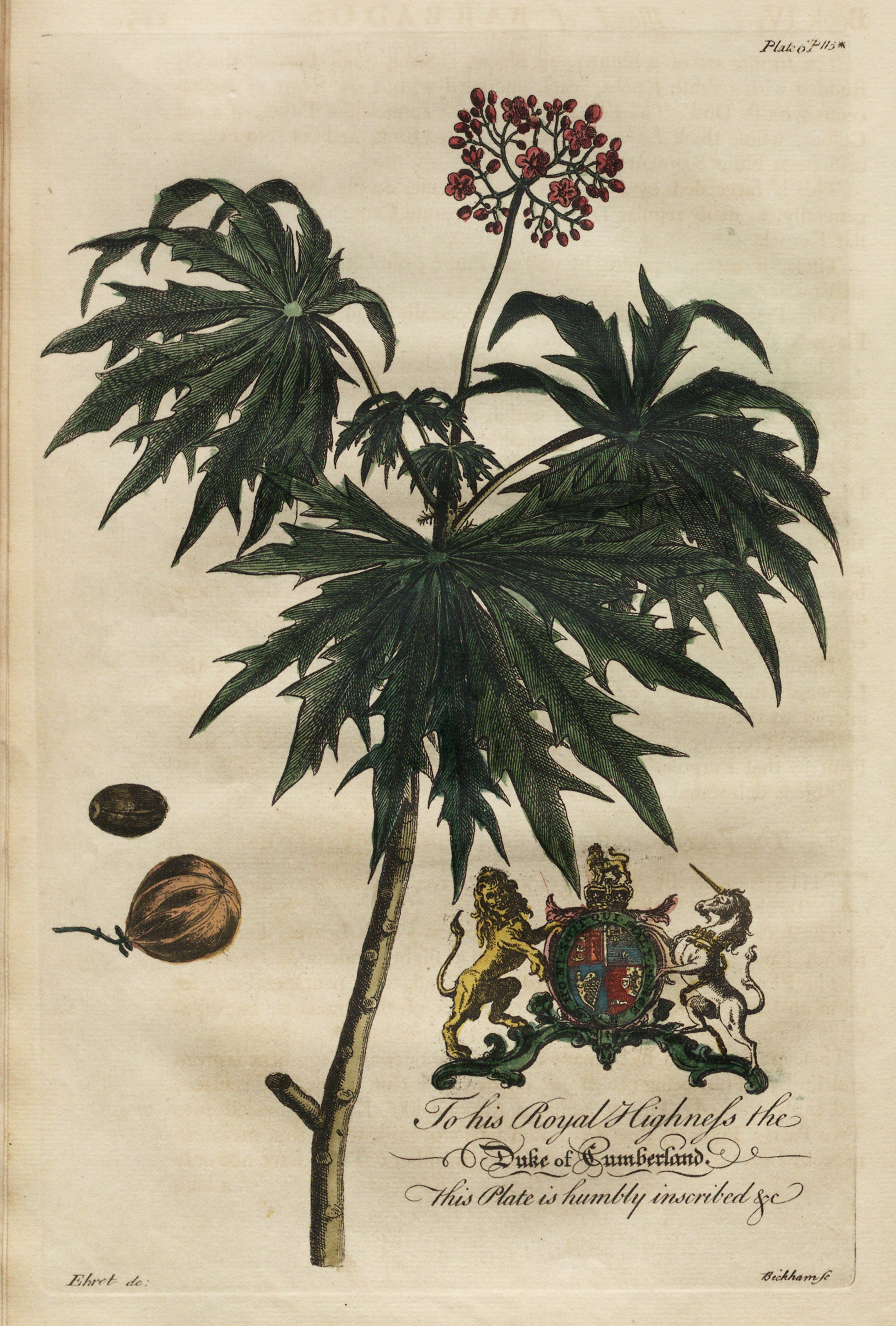 no full size  illustration available (3a)