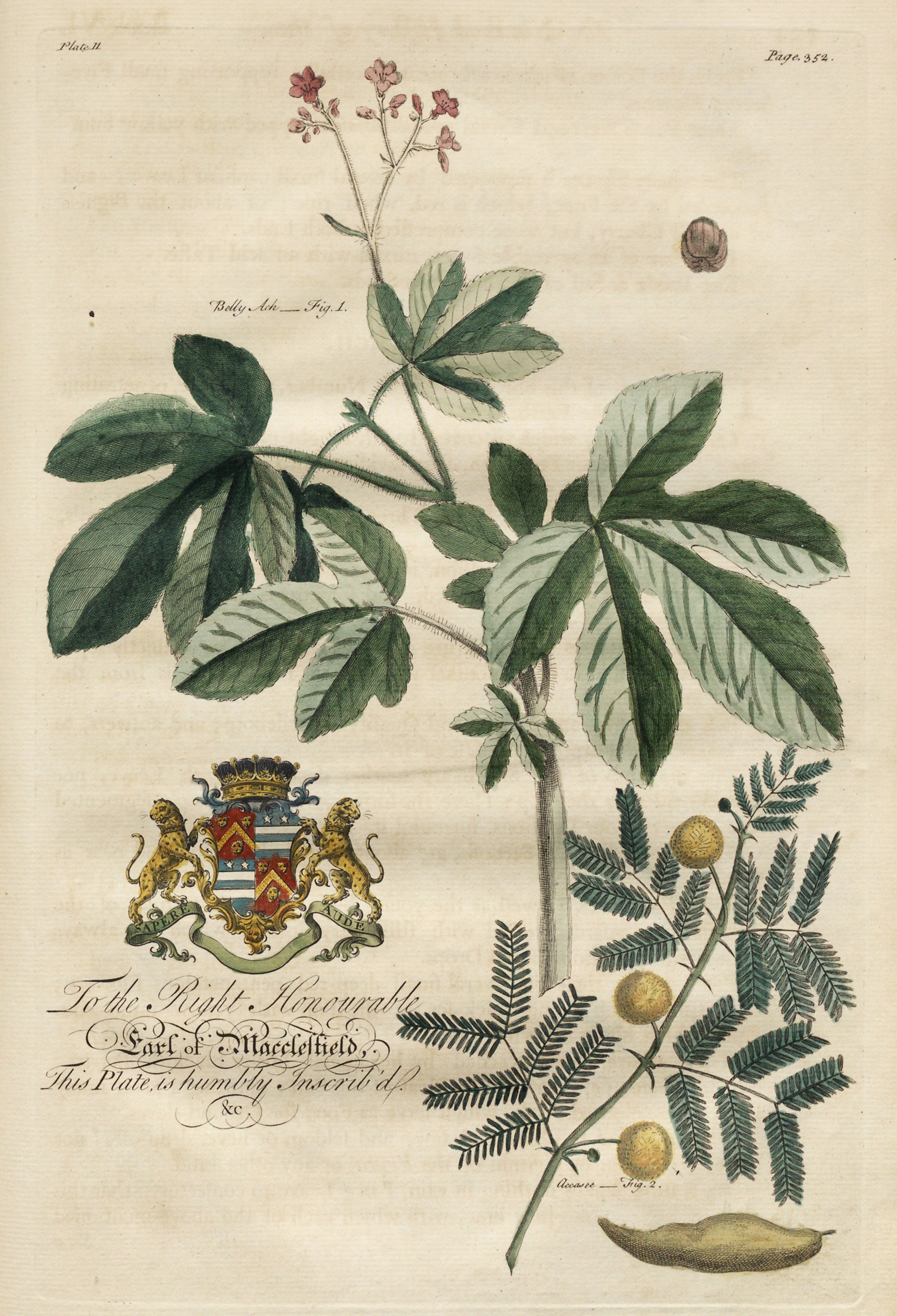 no full size  illustration available (3a)