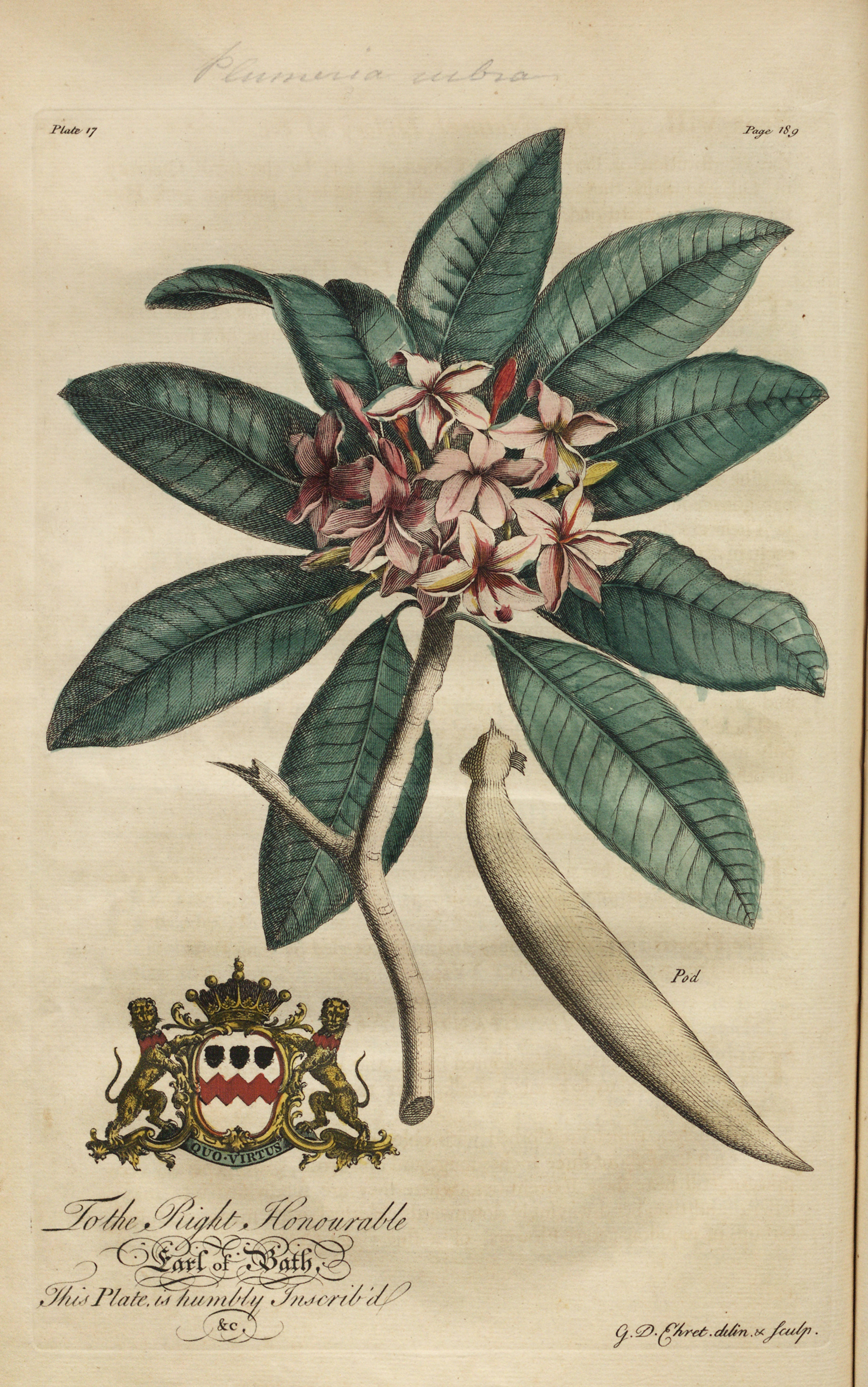 no full size  illustration available (3a)