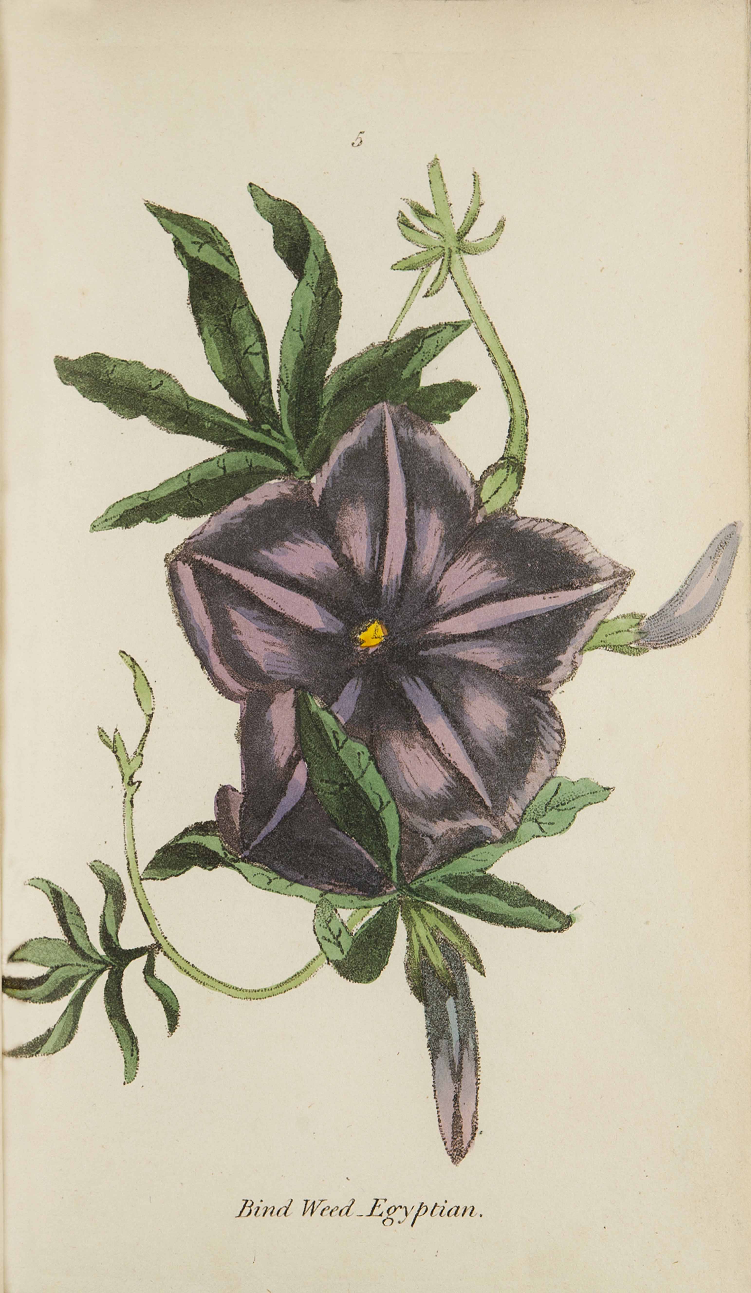 no full size  illustration available (3a)