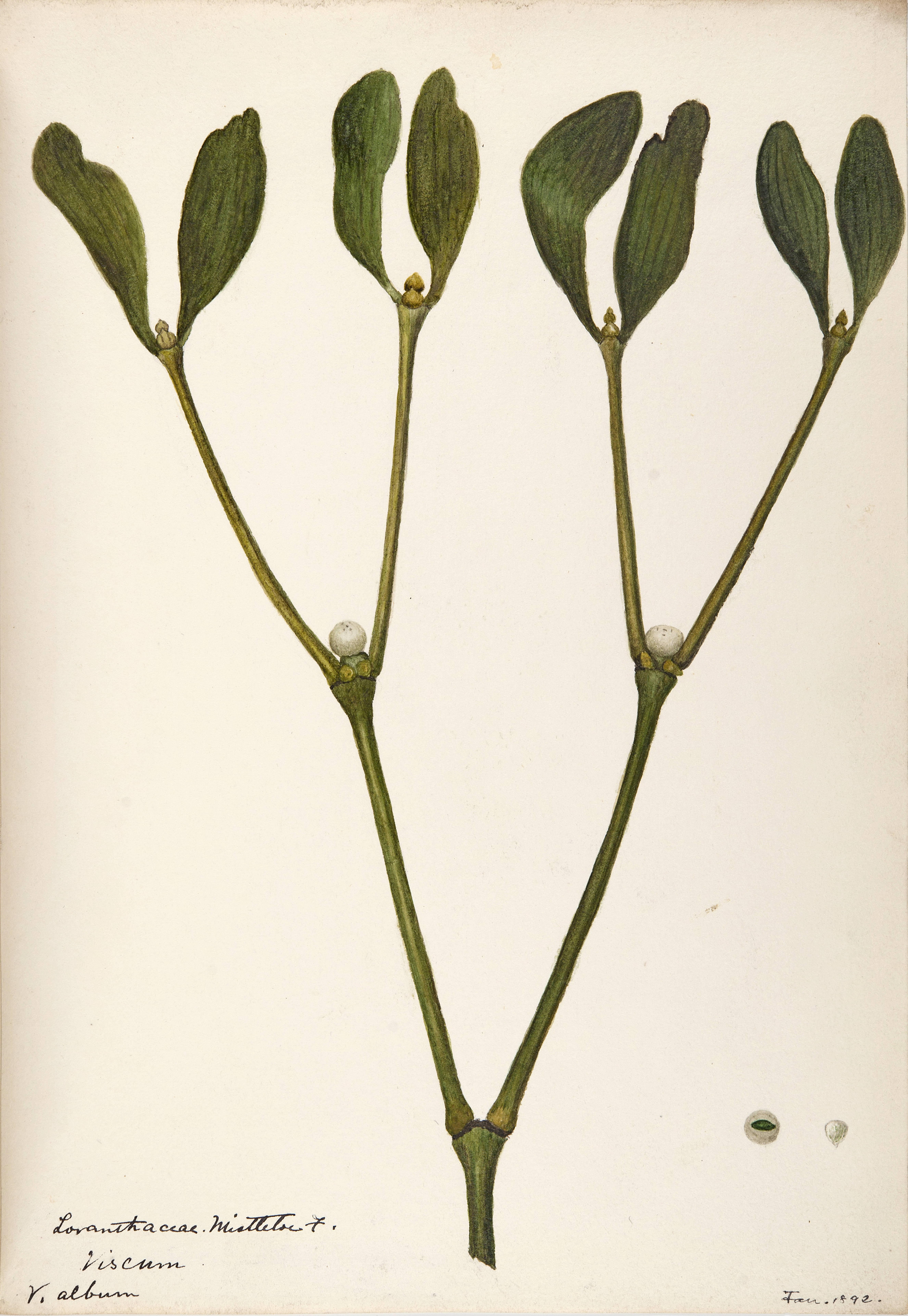 no full size  illustration available (3a)