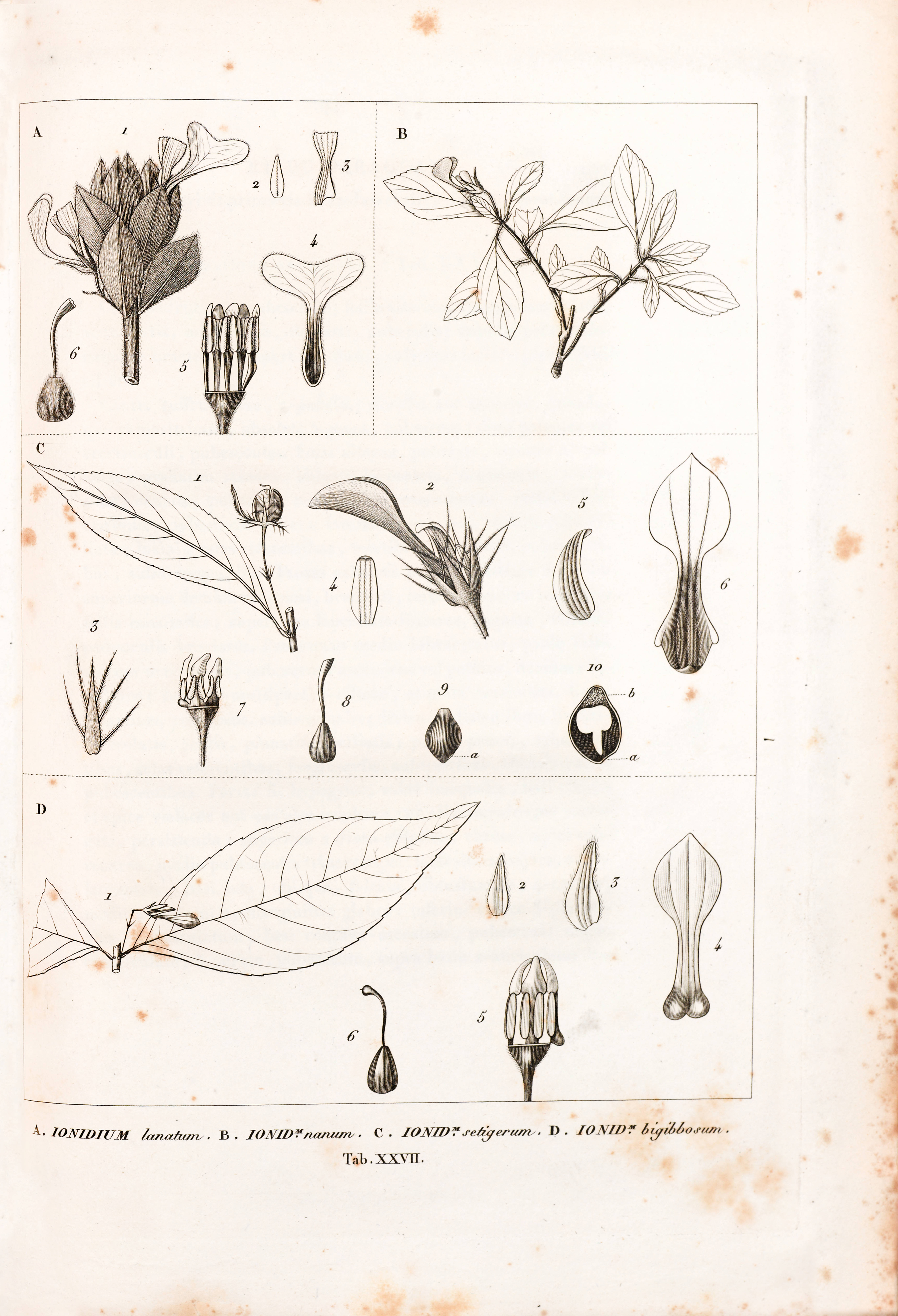 no full size  illustration available (3a)