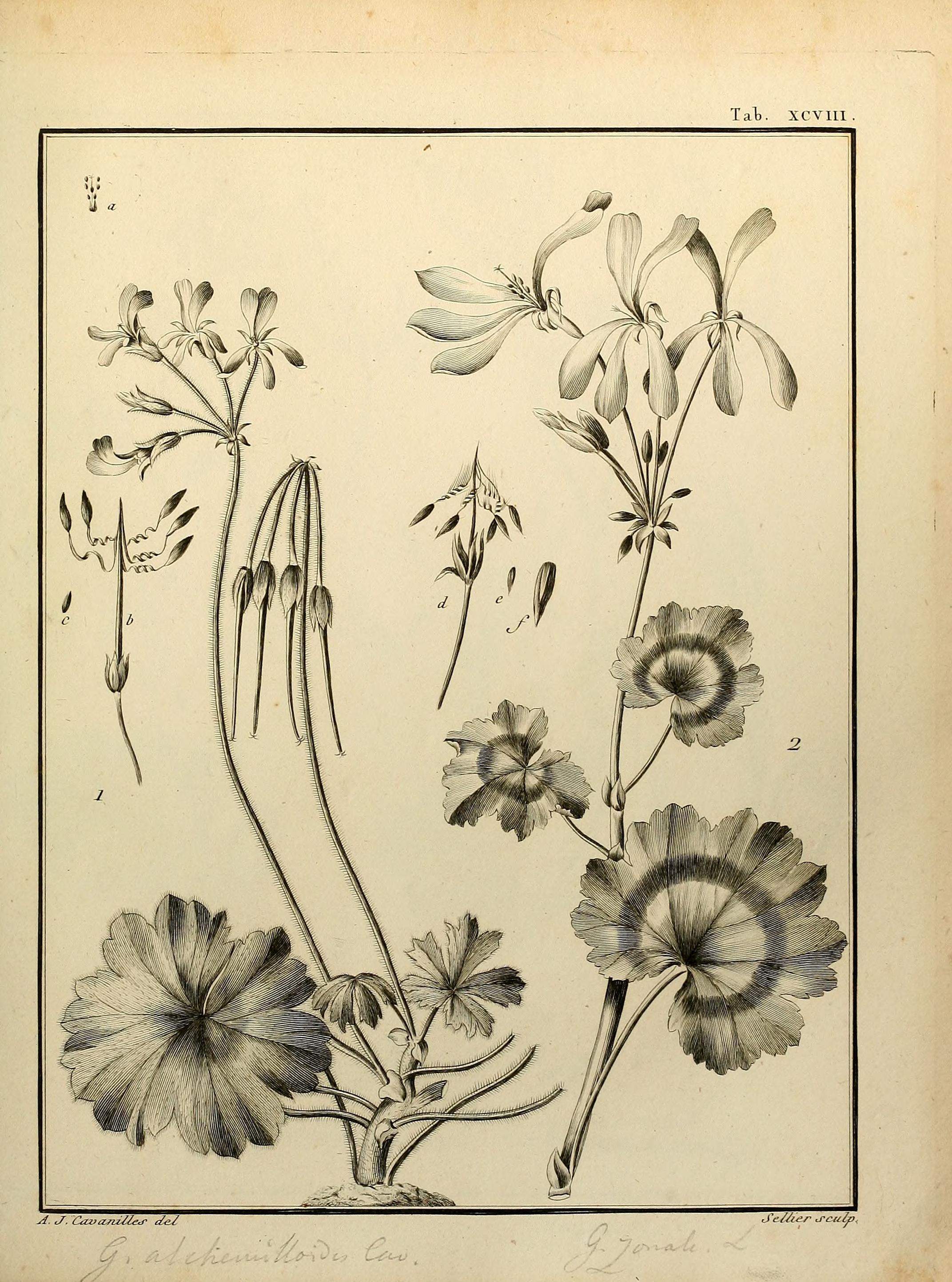 no full size  illustration available (3a)