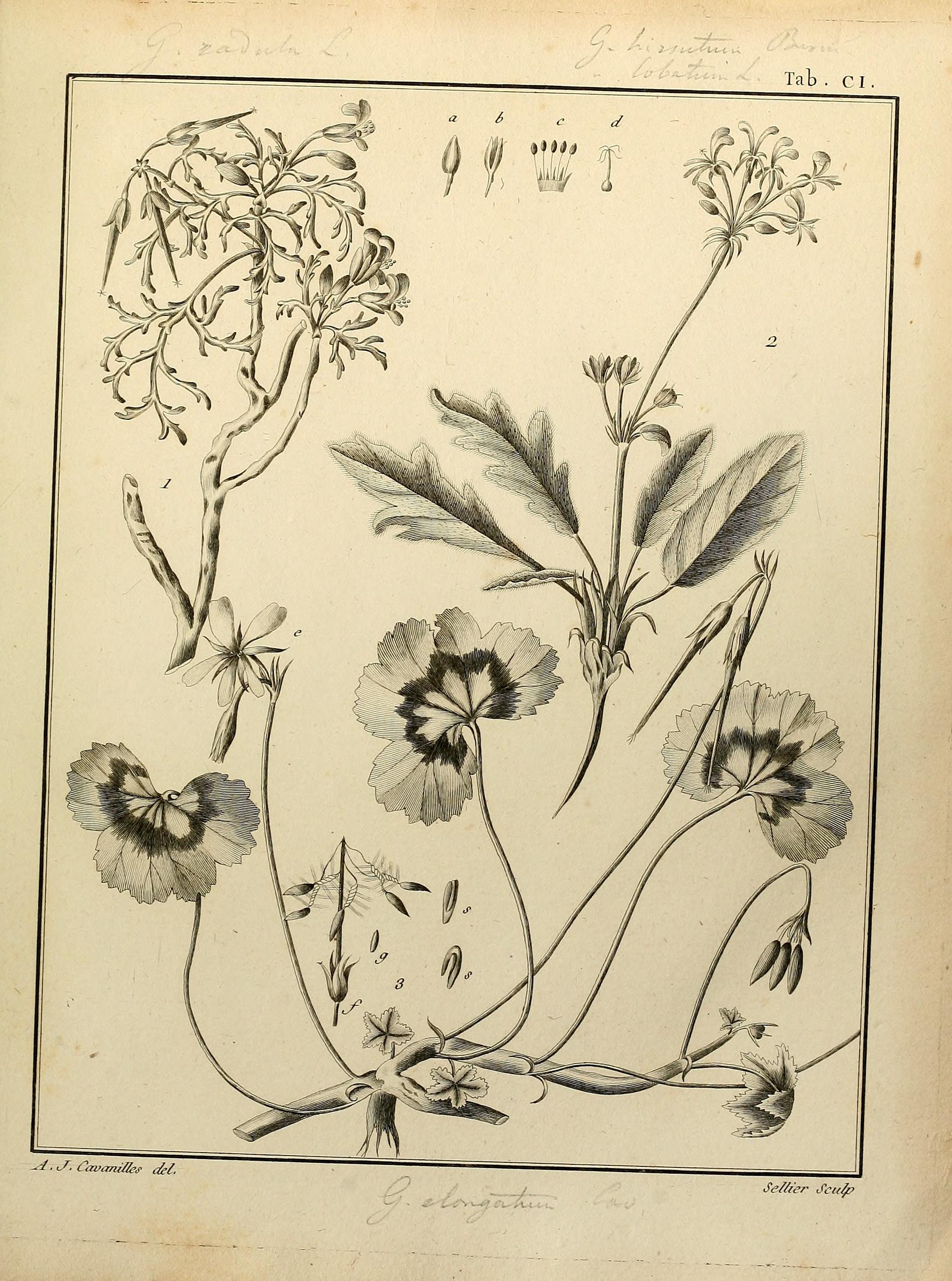 no full size  illustration available (3a)