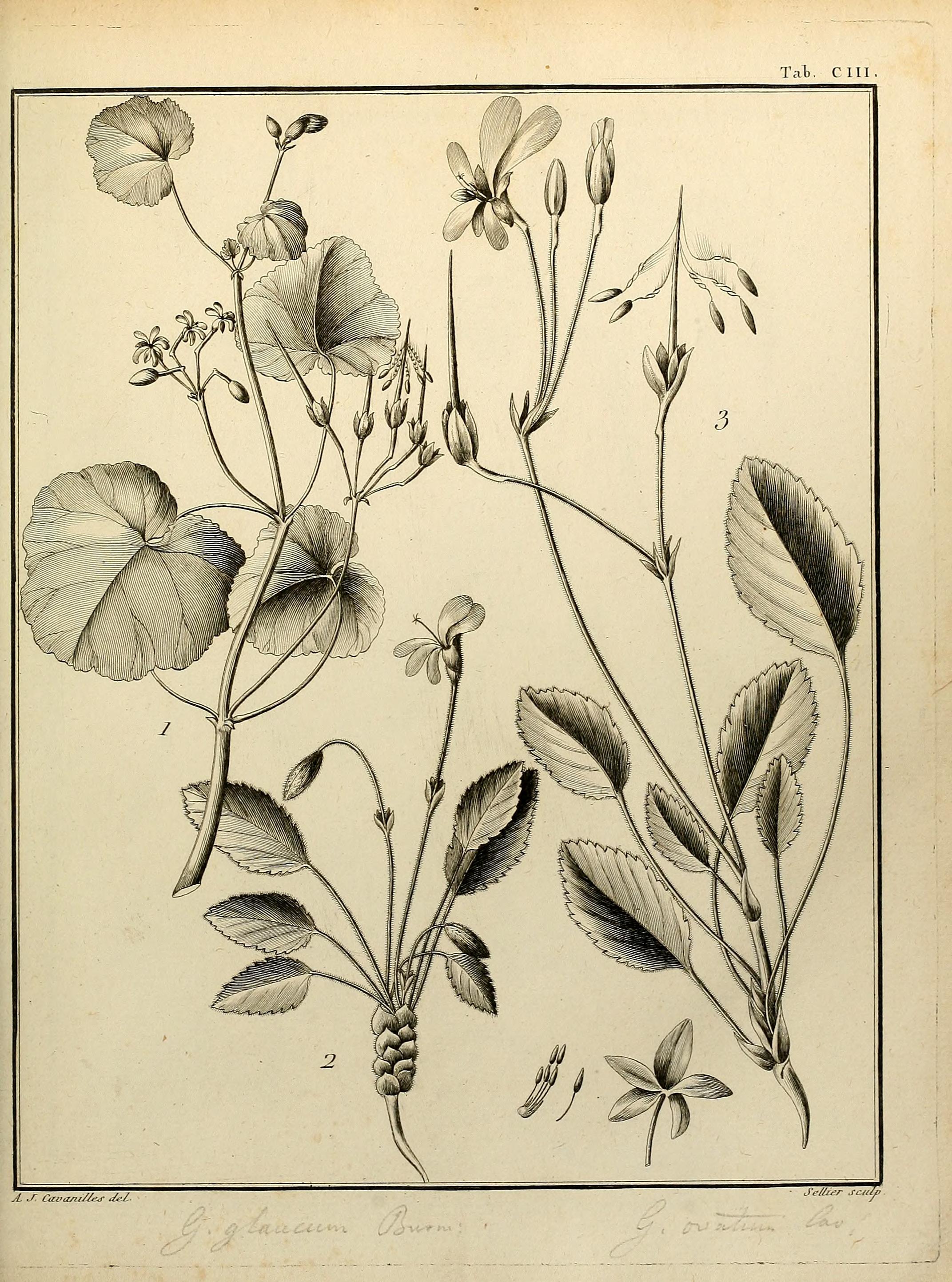 no full size  illustration available (3a)