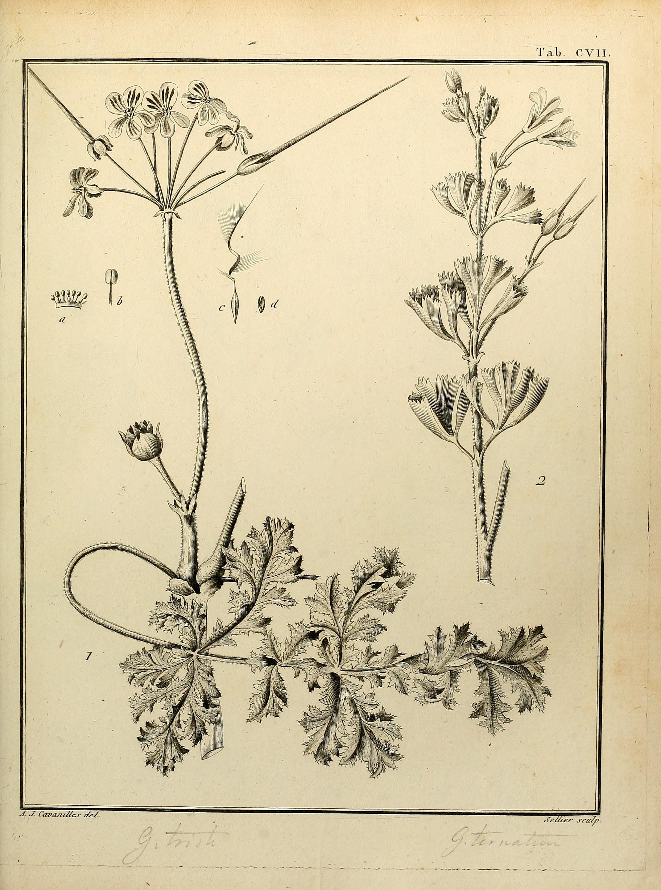 no full size  illustration available (3a)