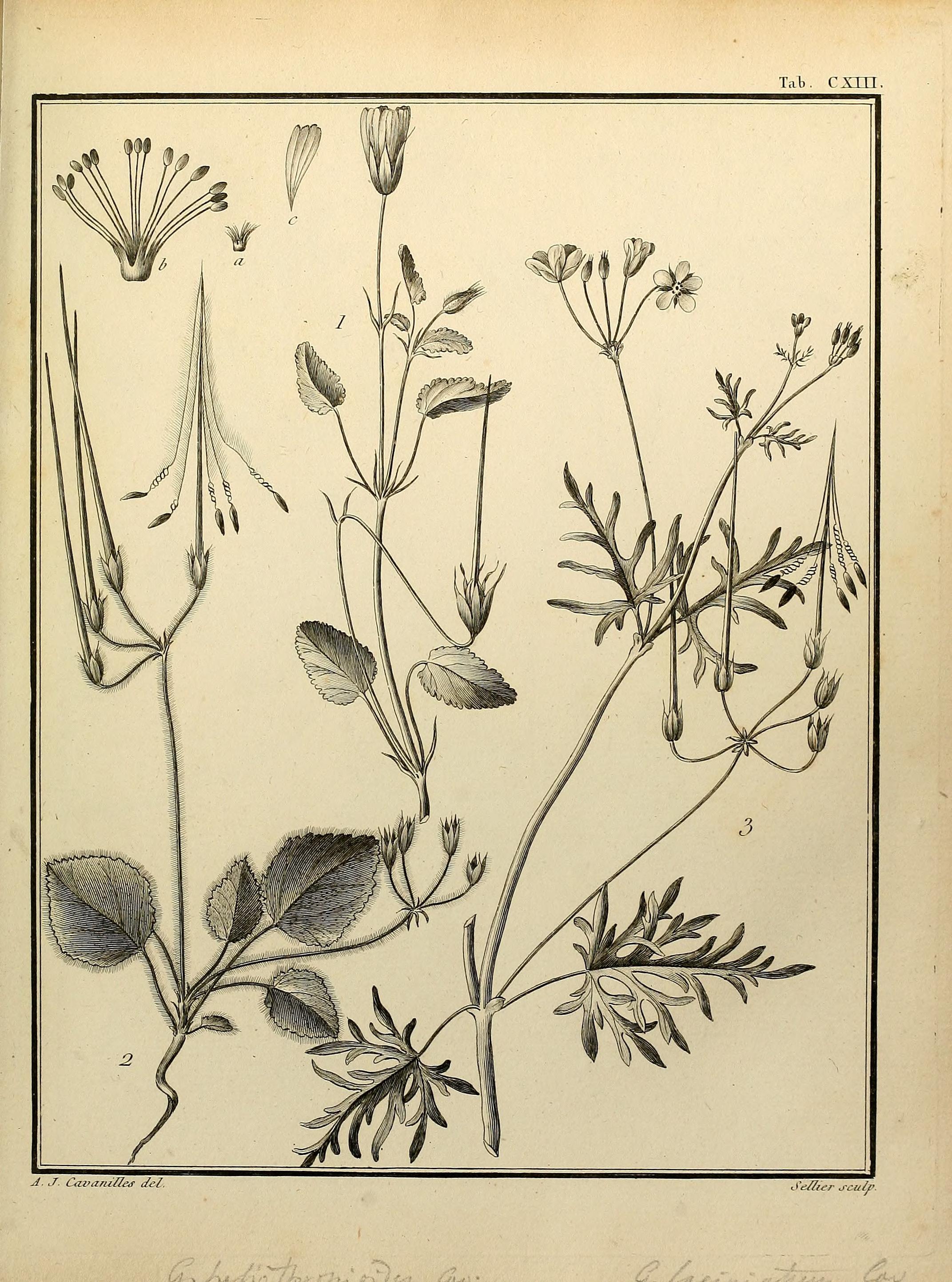 no full size  illustration available (3a)