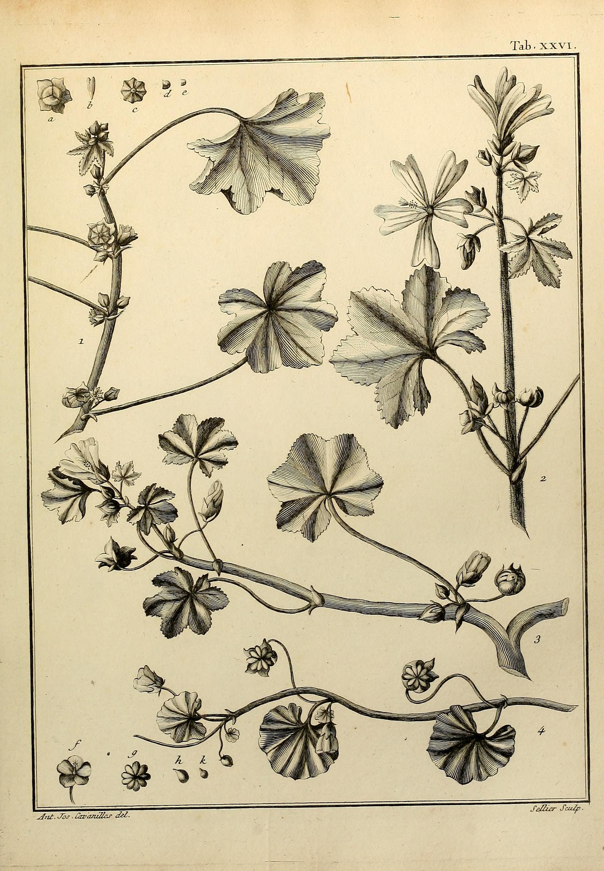 no full size  illustration available (3a)