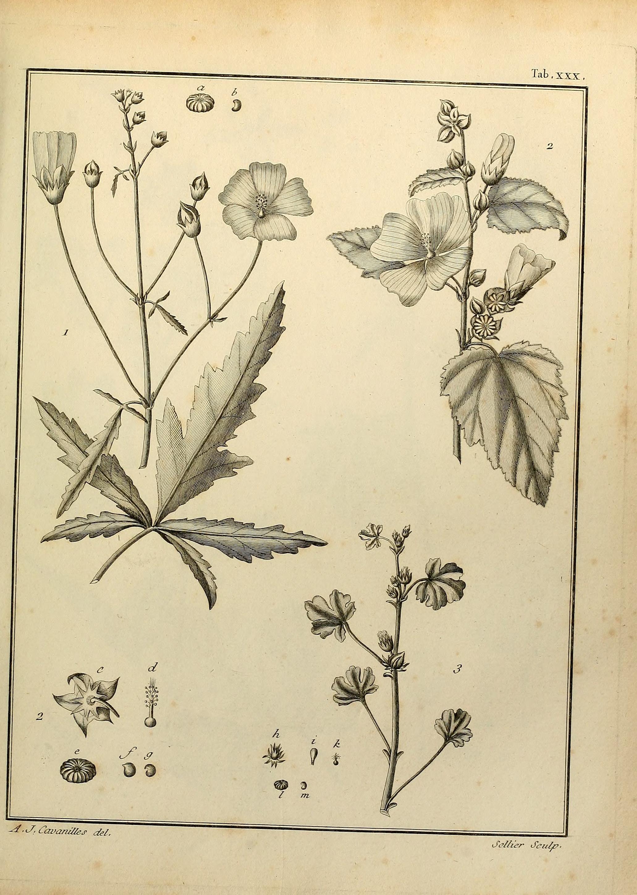 no full size  illustration available (3a)