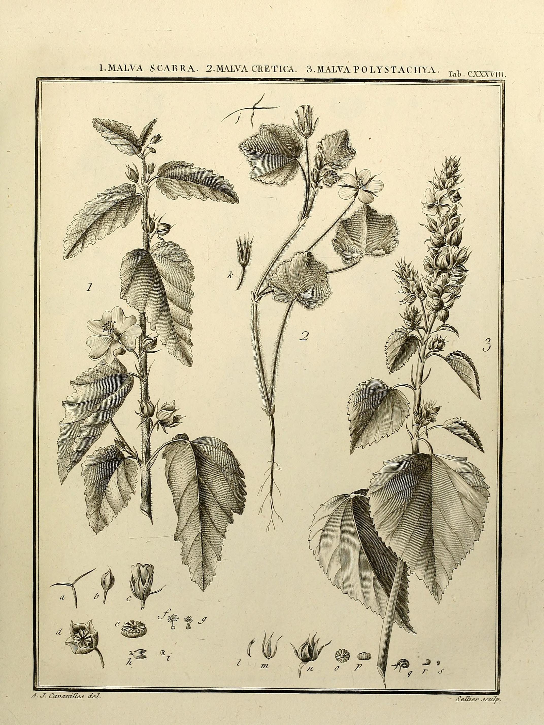 no full size  illustration available (3a)