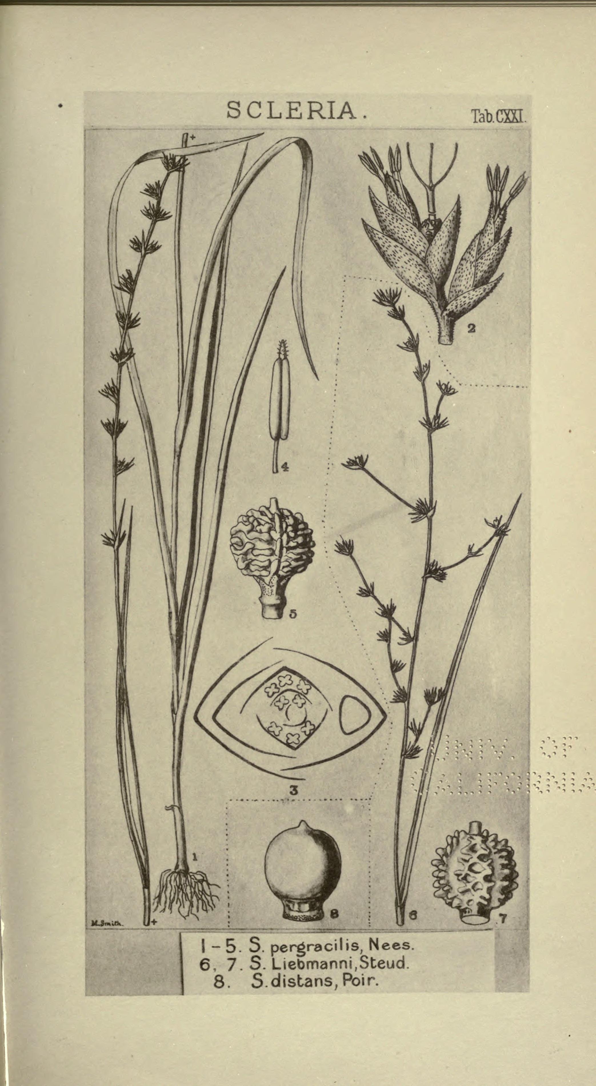 no full size  illustration available (3a)