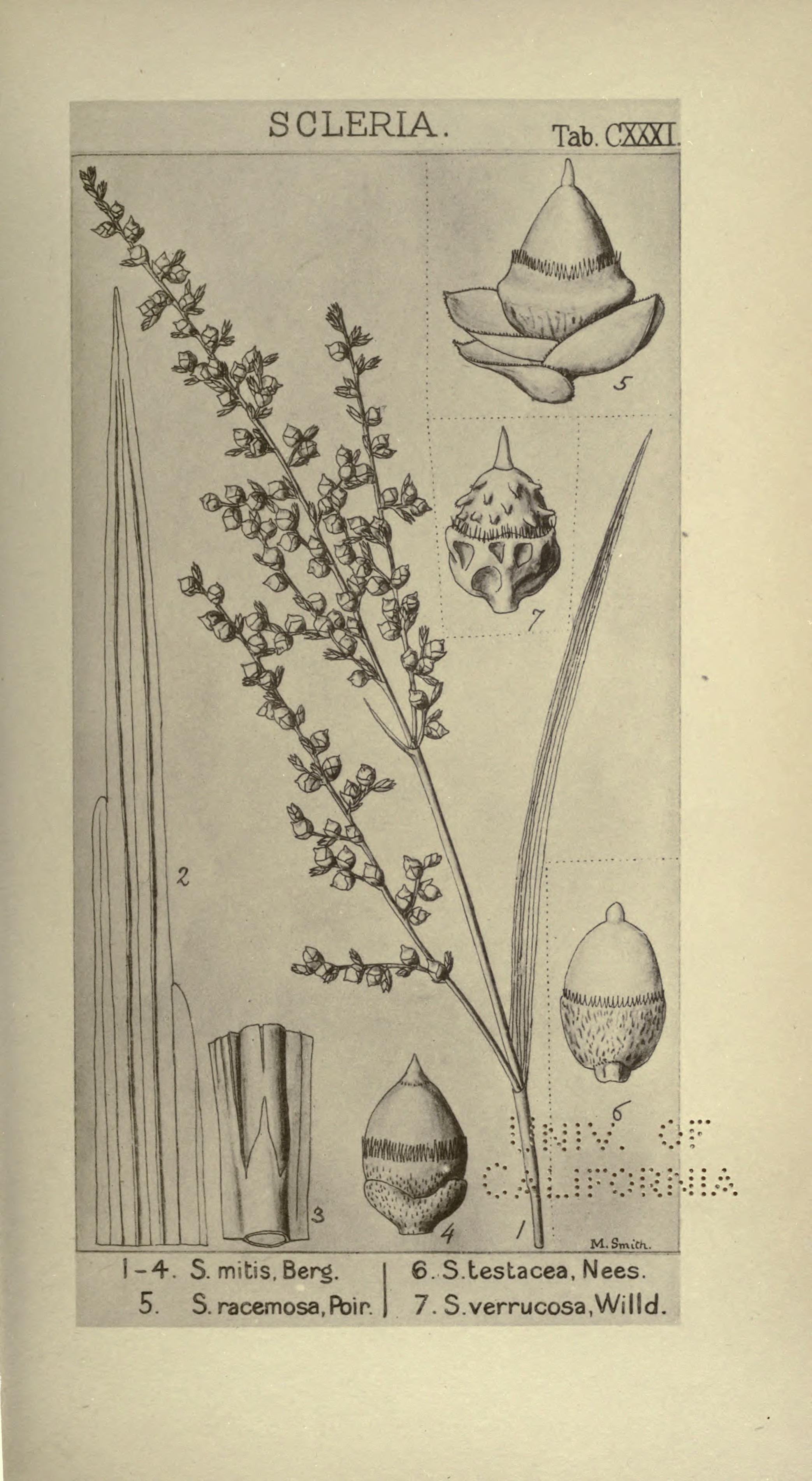 no full size  illustration available (3a)