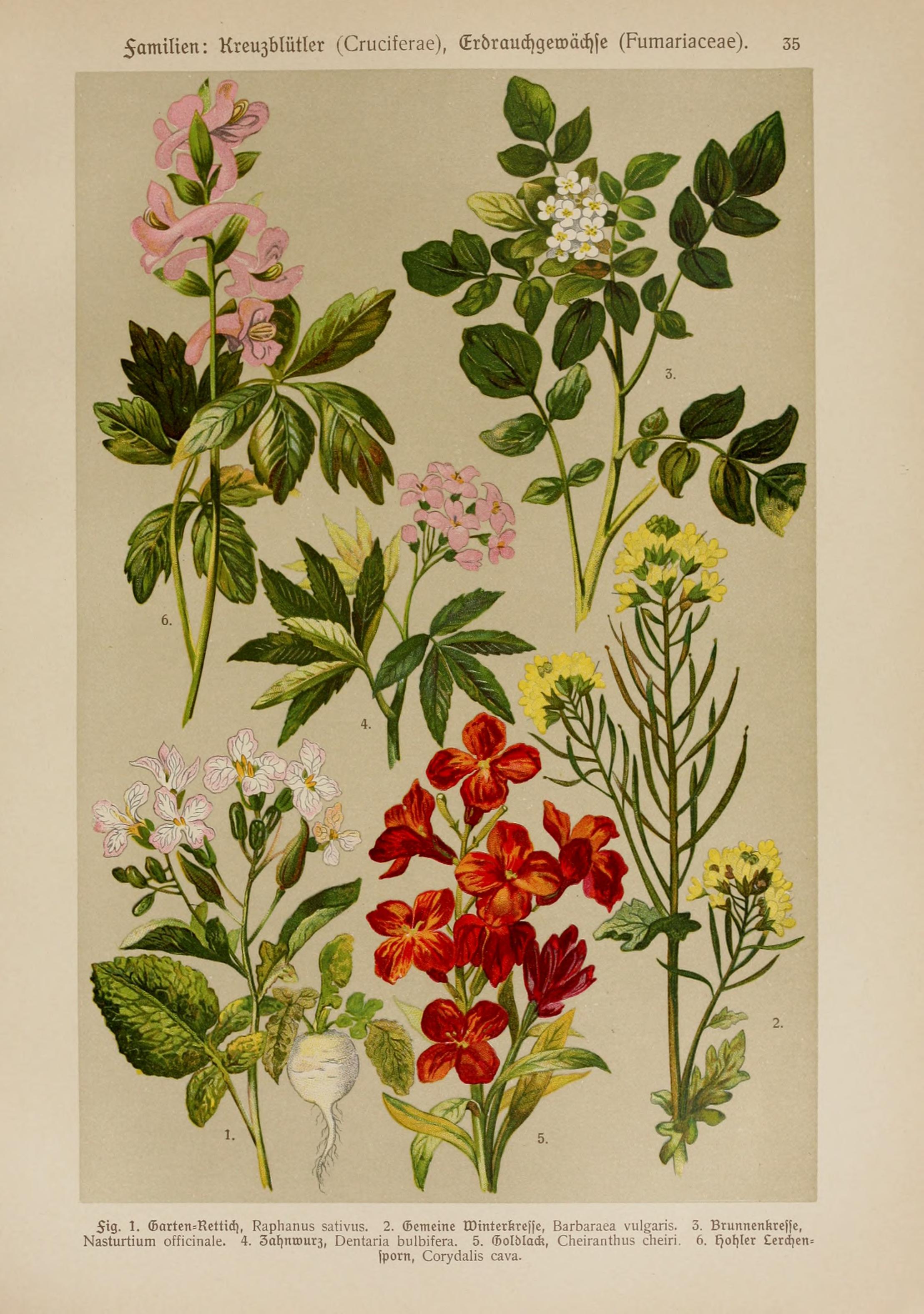 no full size  illustration available (3a)