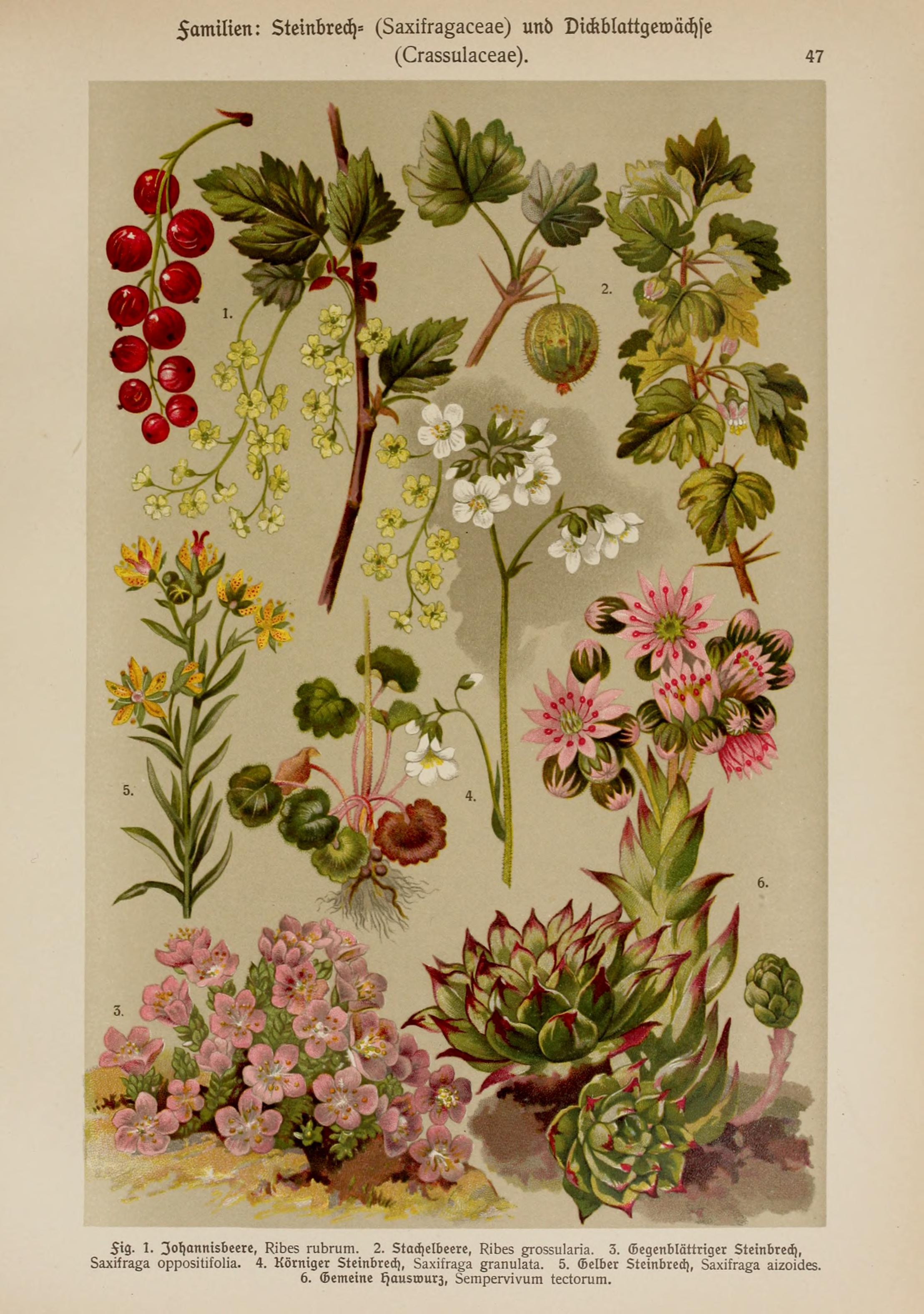 no full size  illustration available (3a)