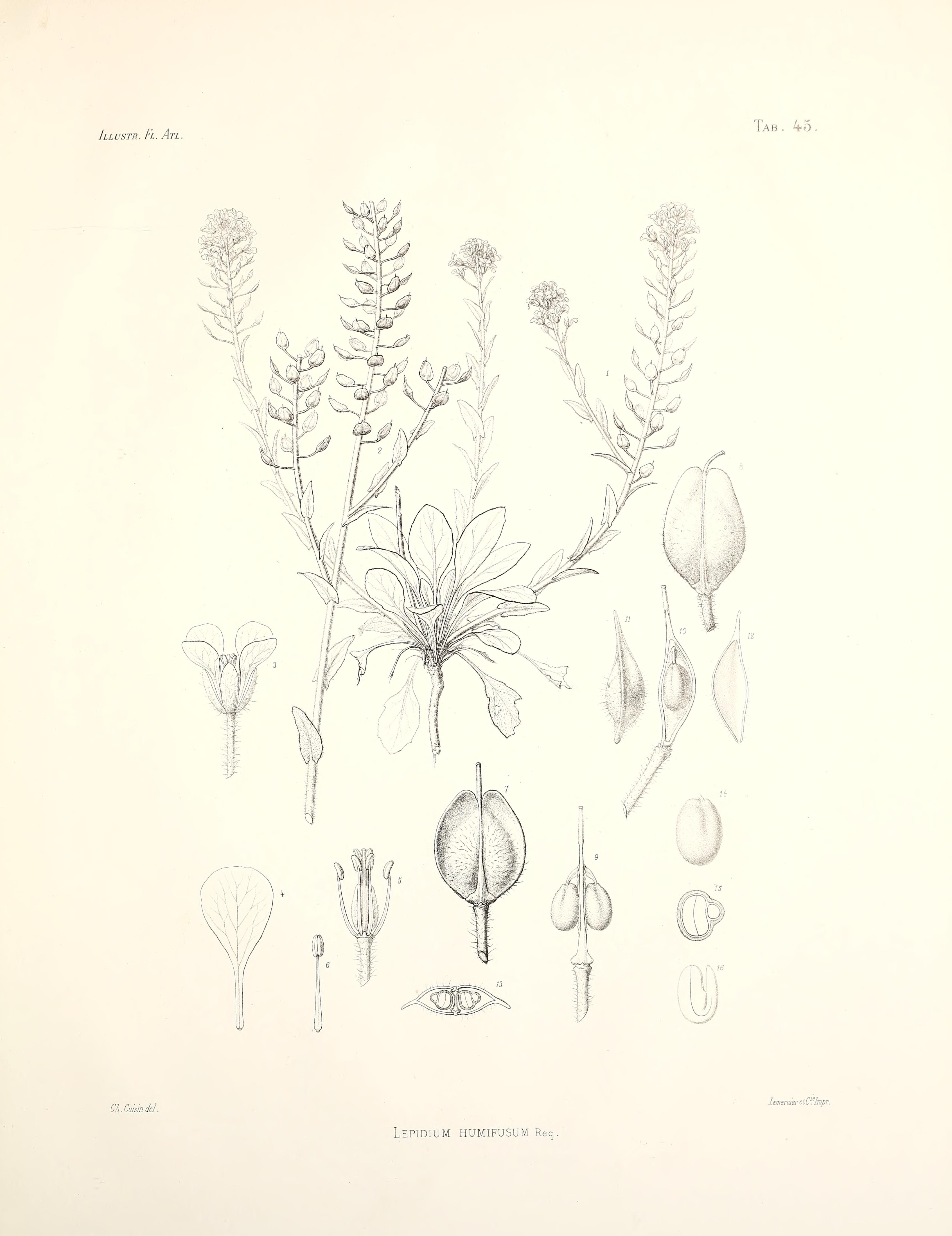 no full size  illustration available (3a)