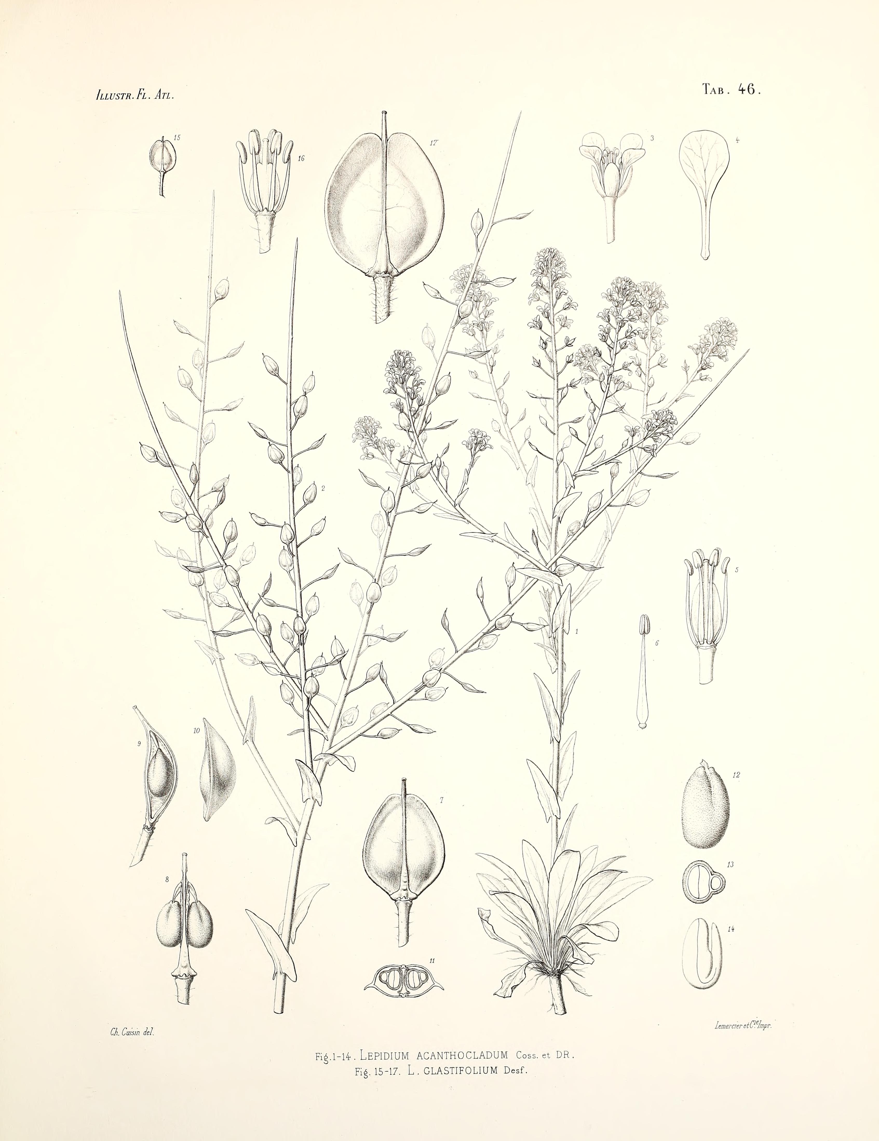 no full size  illustration available (3a)