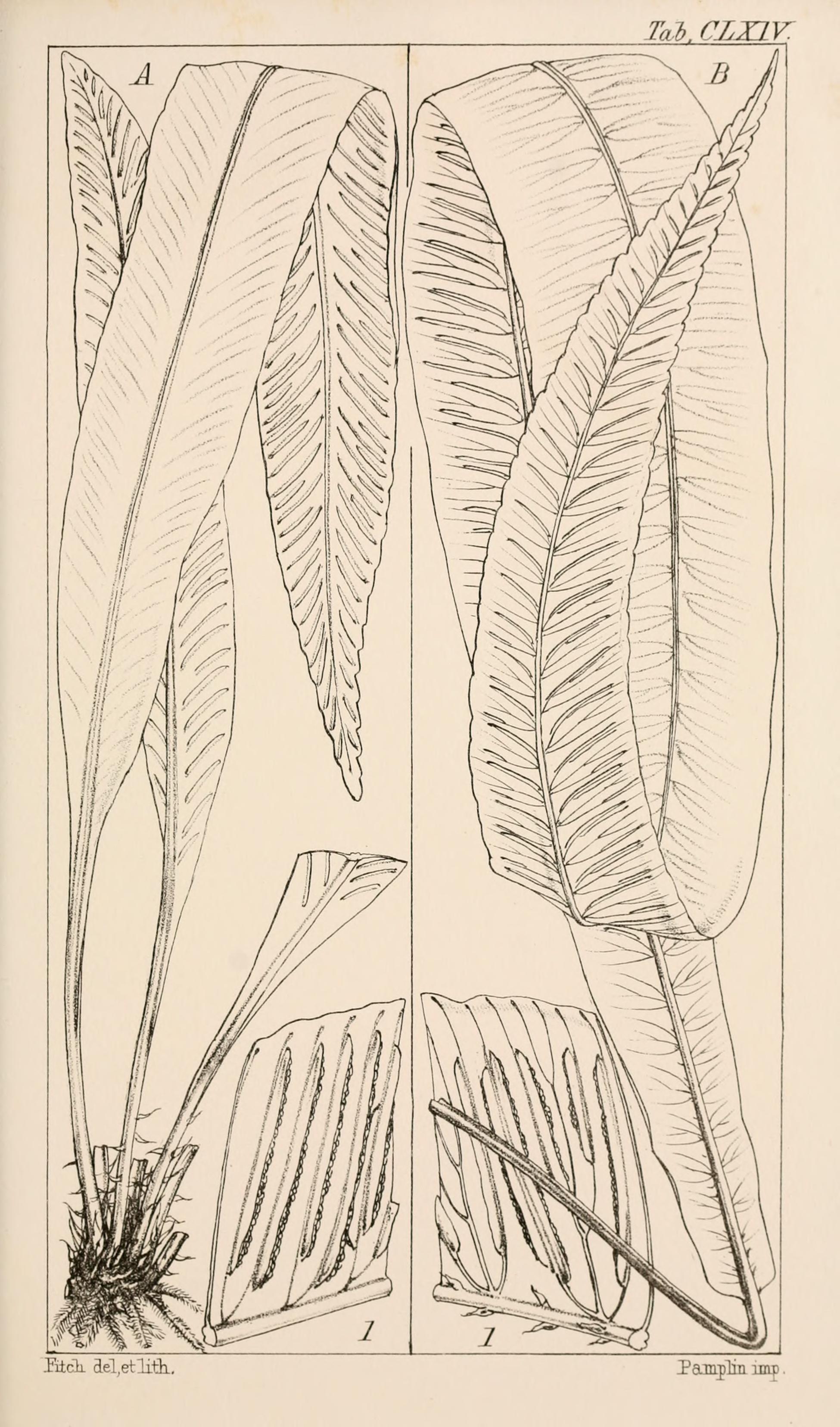 no full size  illustration available (3a)