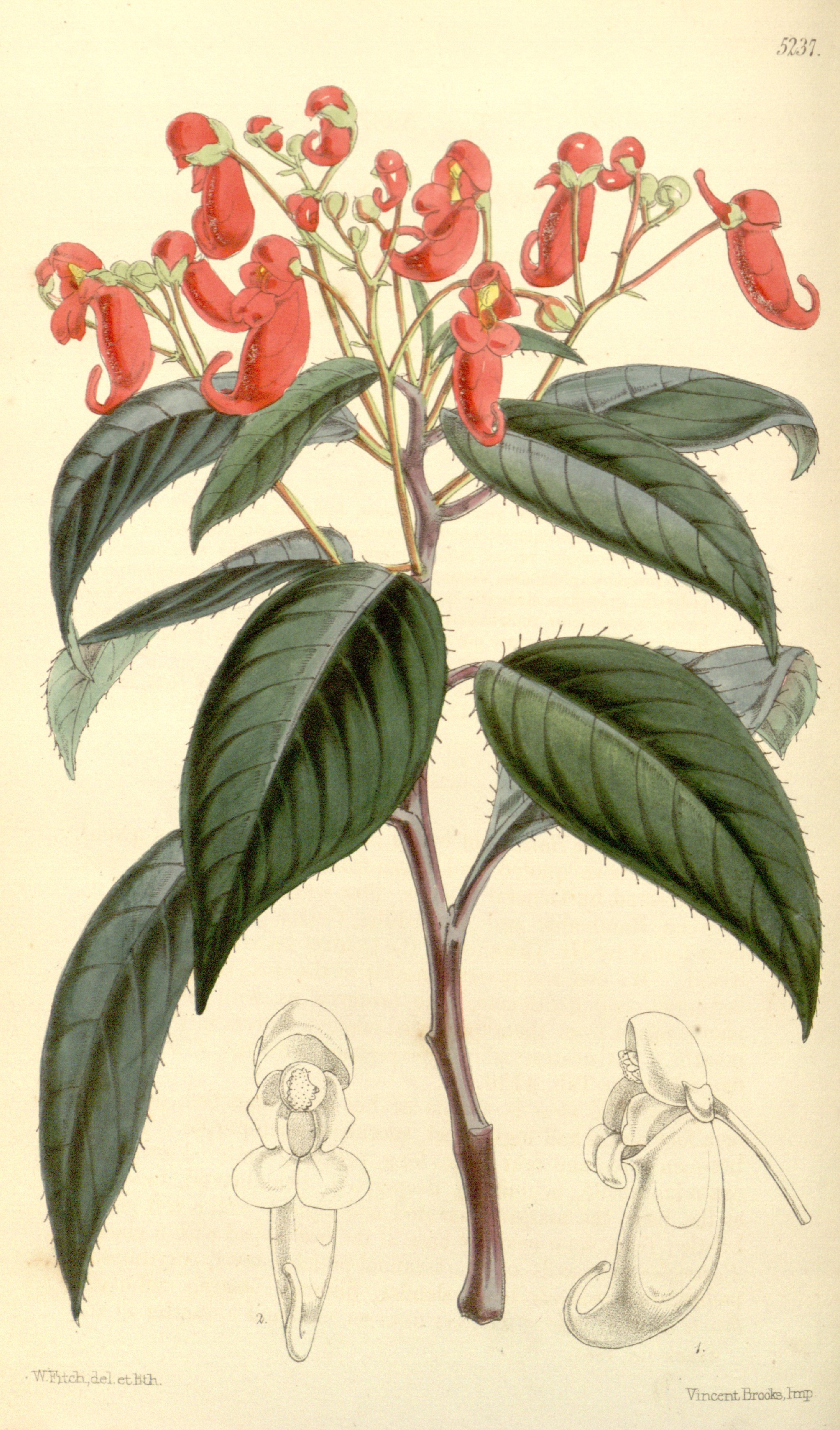 no full size  illustration available (3a)