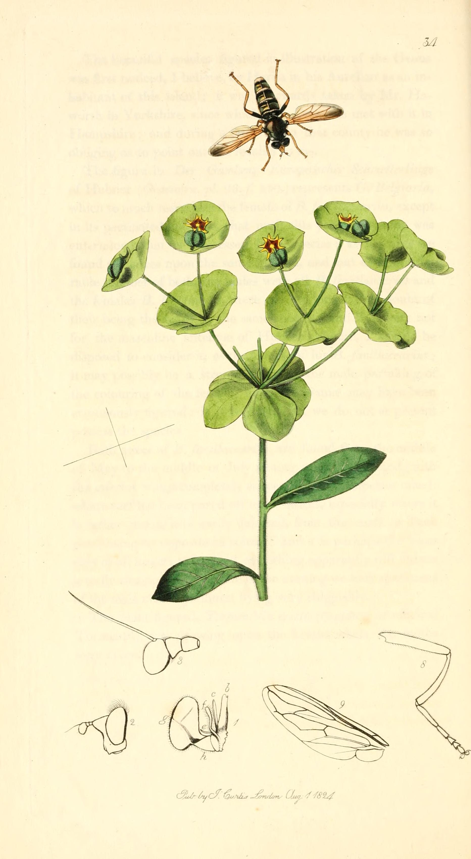 no full size  illustration available (3a)