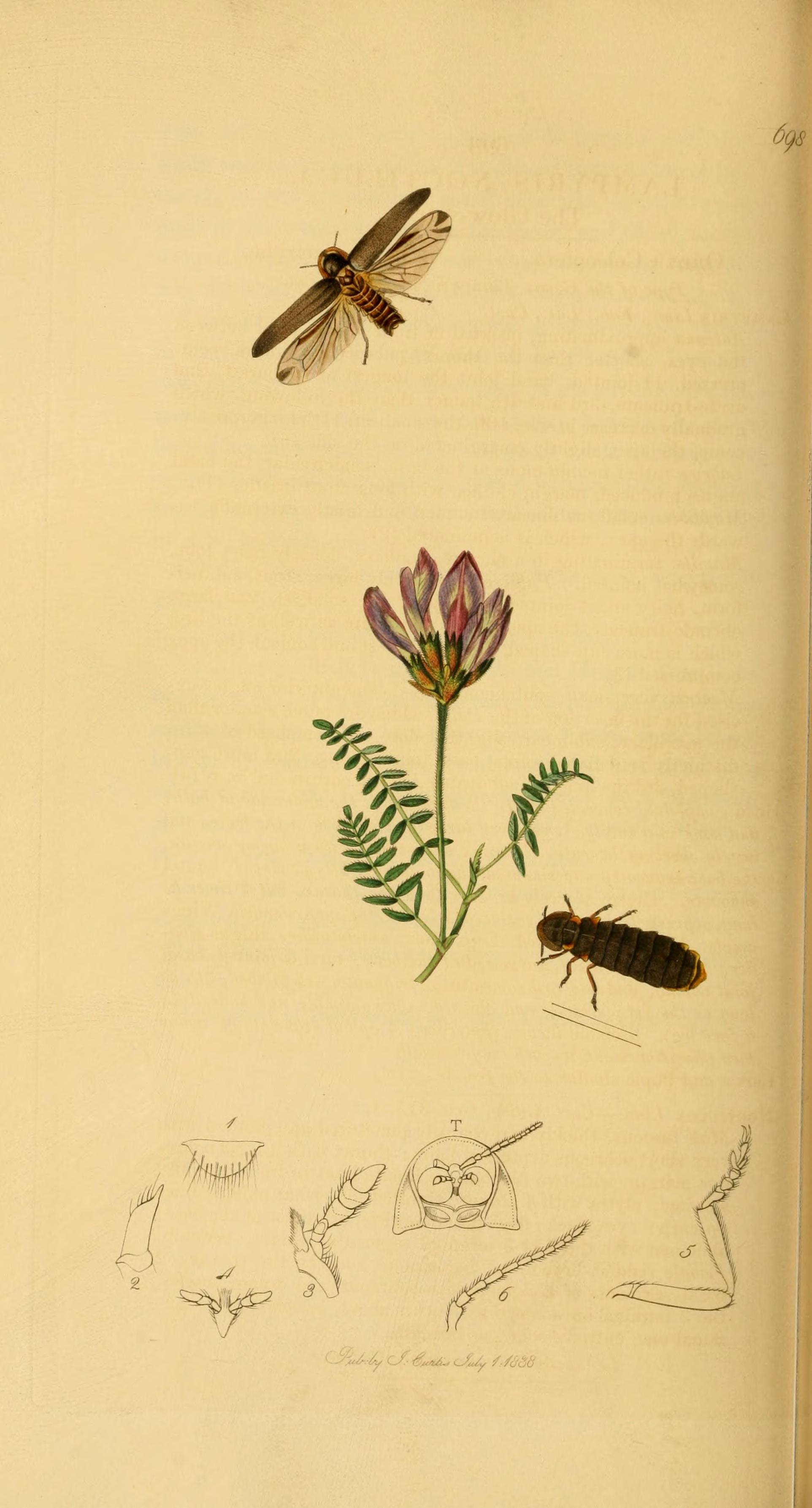 no full size  illustration available (3a)