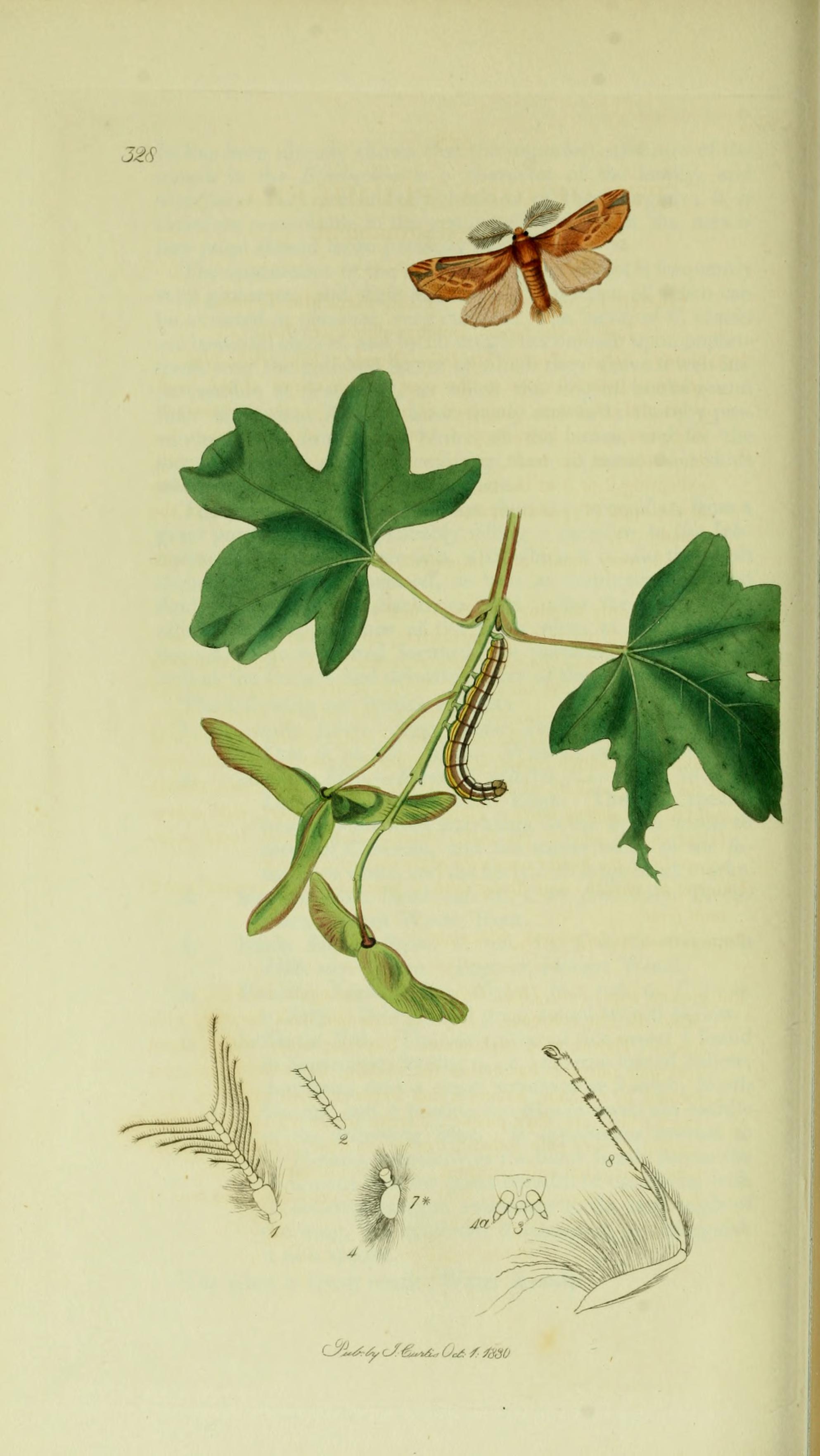 no full size  illustration available (3a)