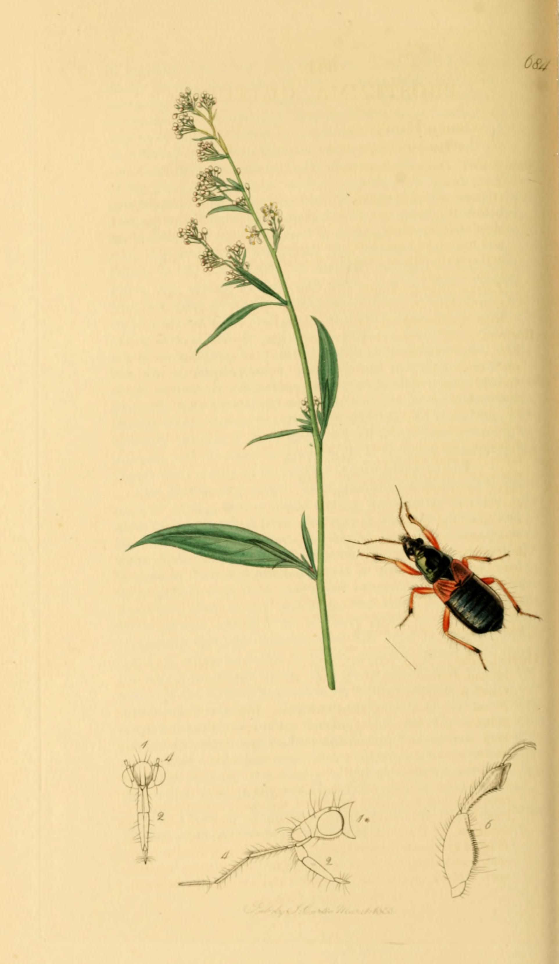 no full size  illustration available (3a)