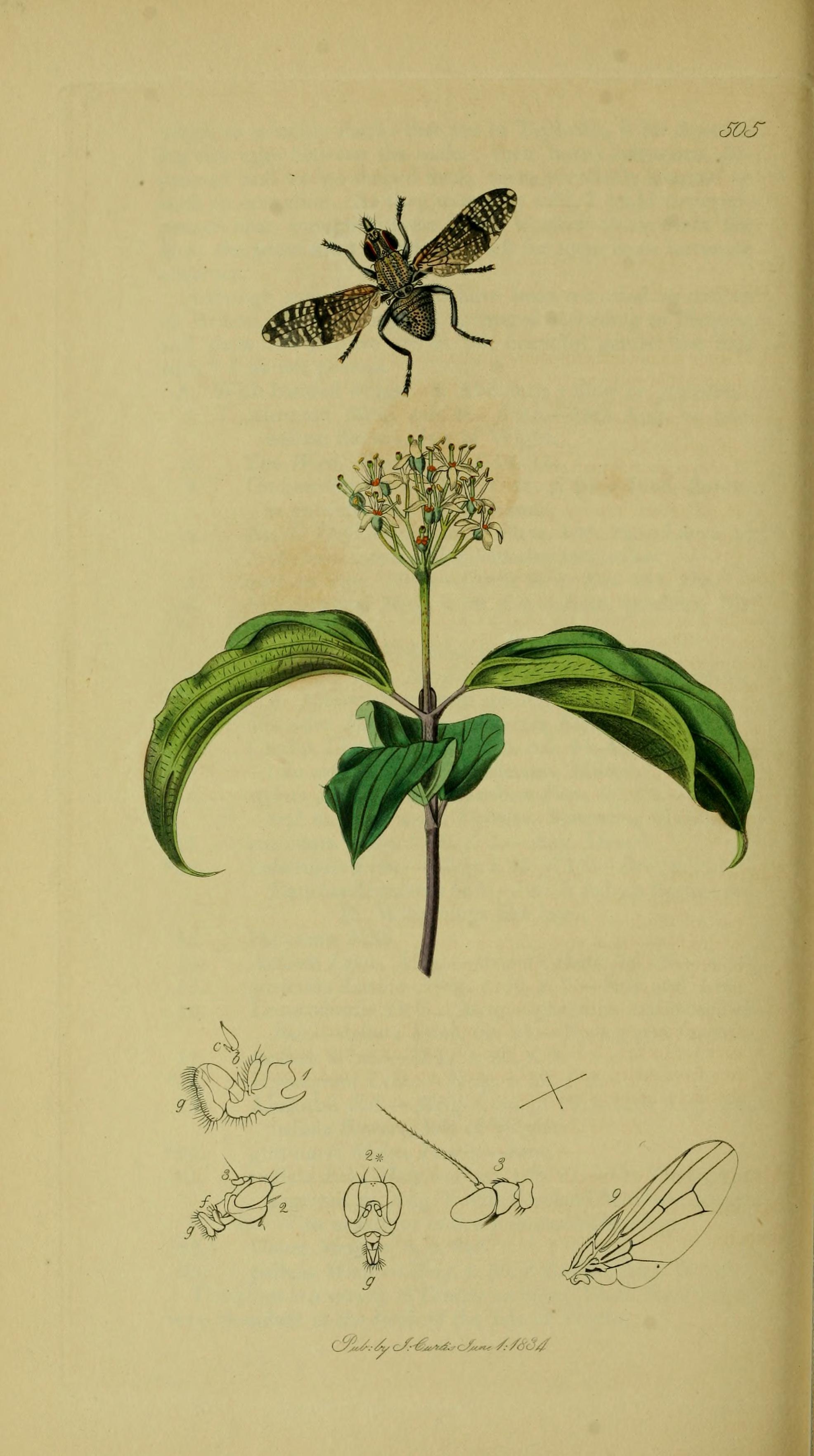 no full size  illustration available (3a)