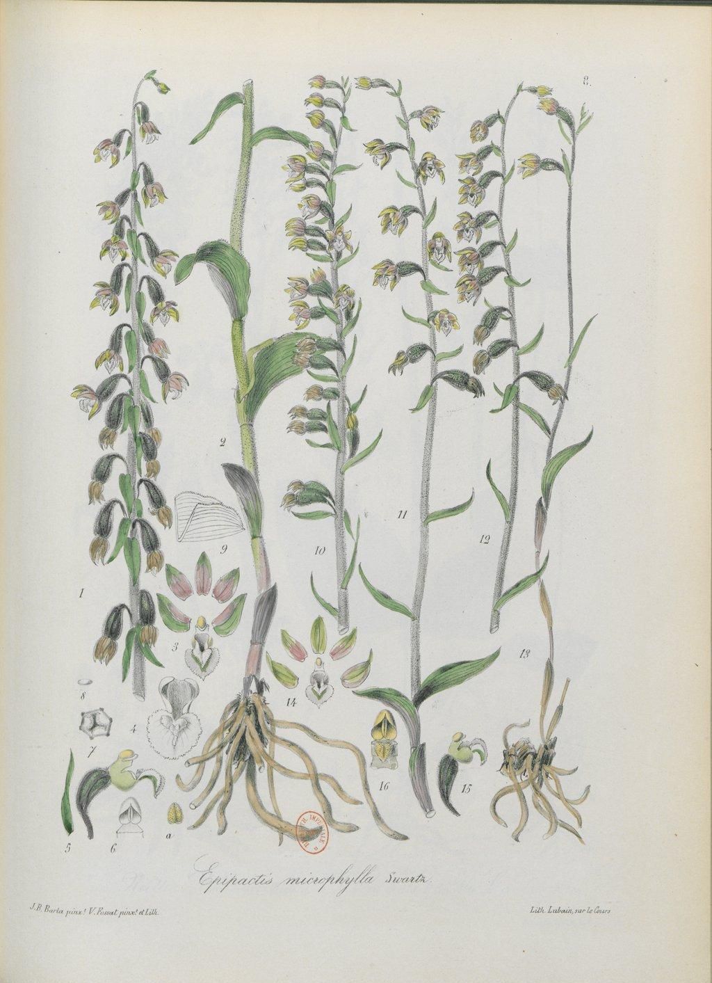 no full size  illustration available (3a)