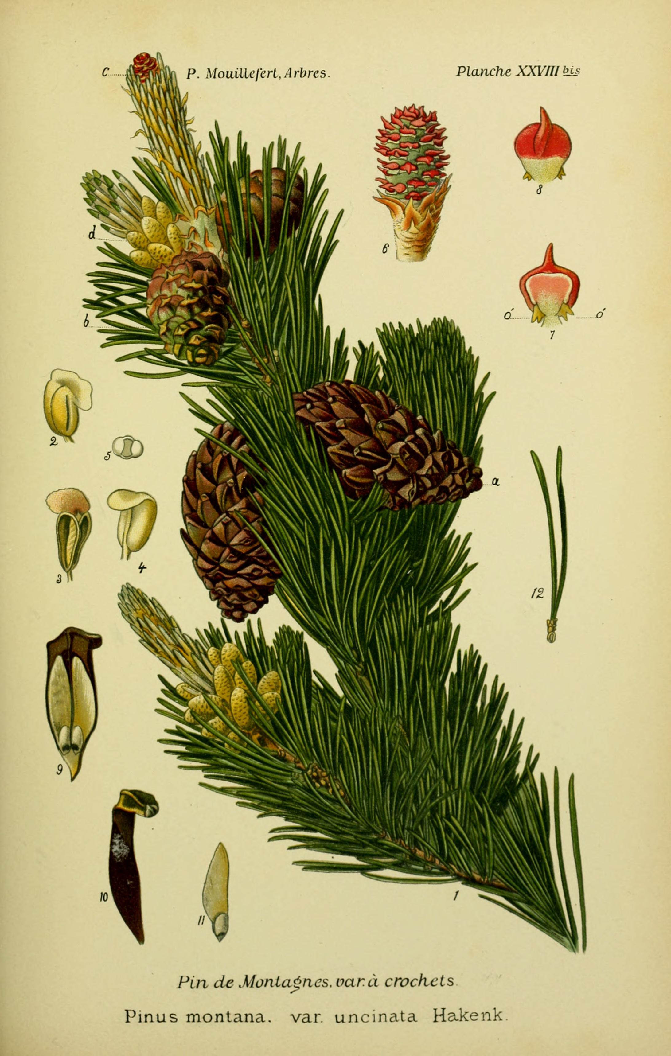 no full size  illustration available (3a)