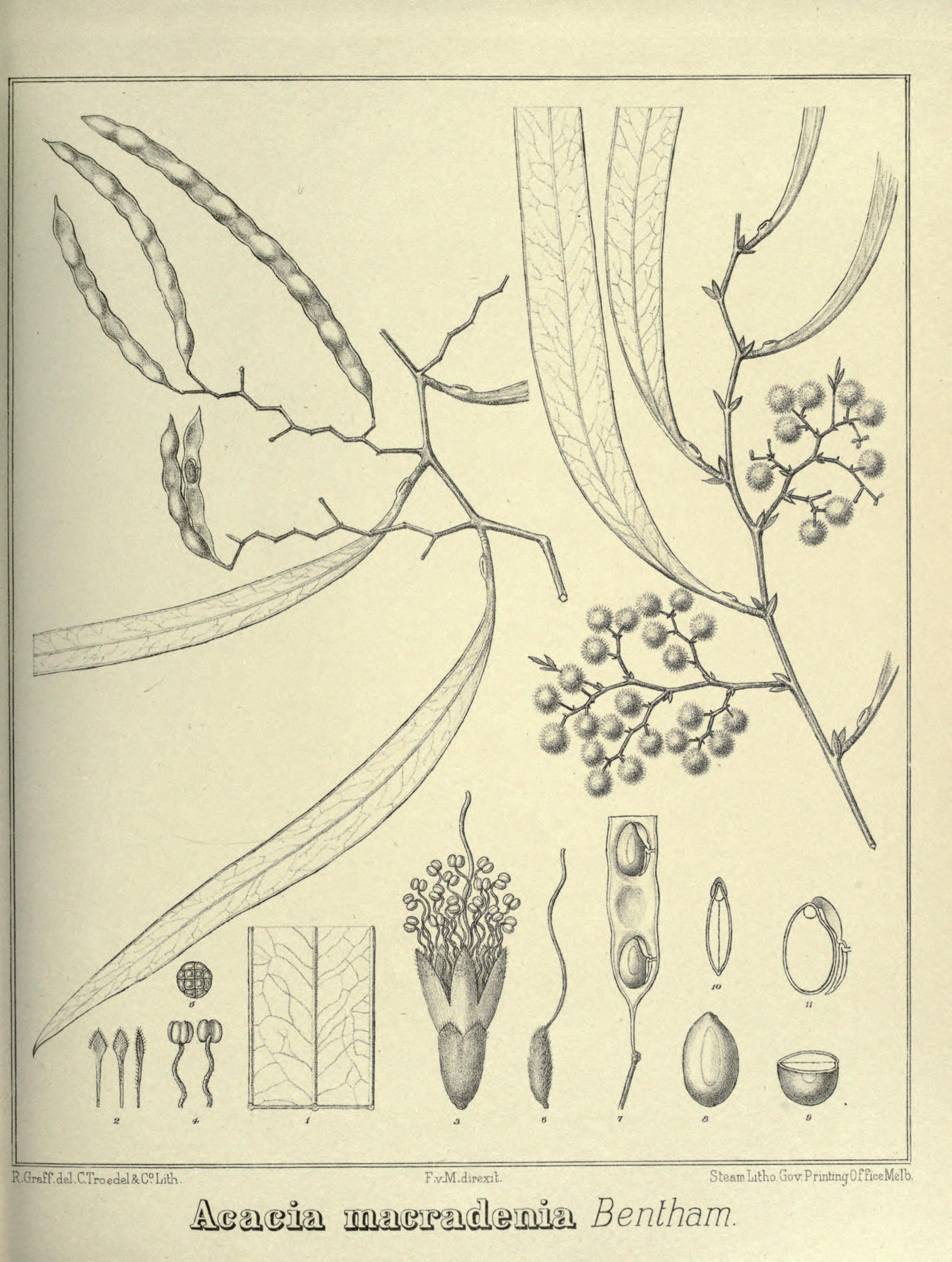 no full size  illustration available (3a)