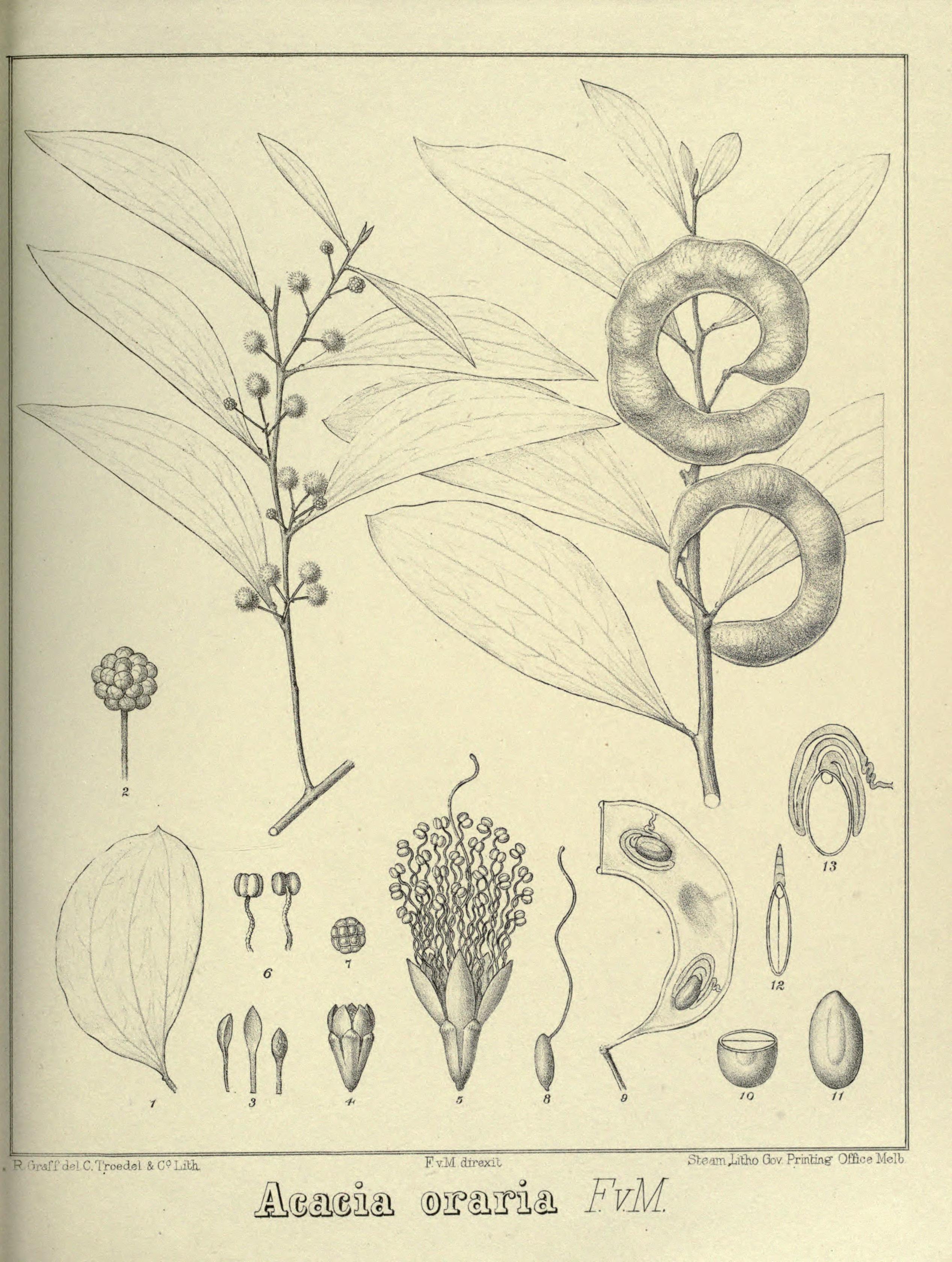 no full size  illustration available (3a)