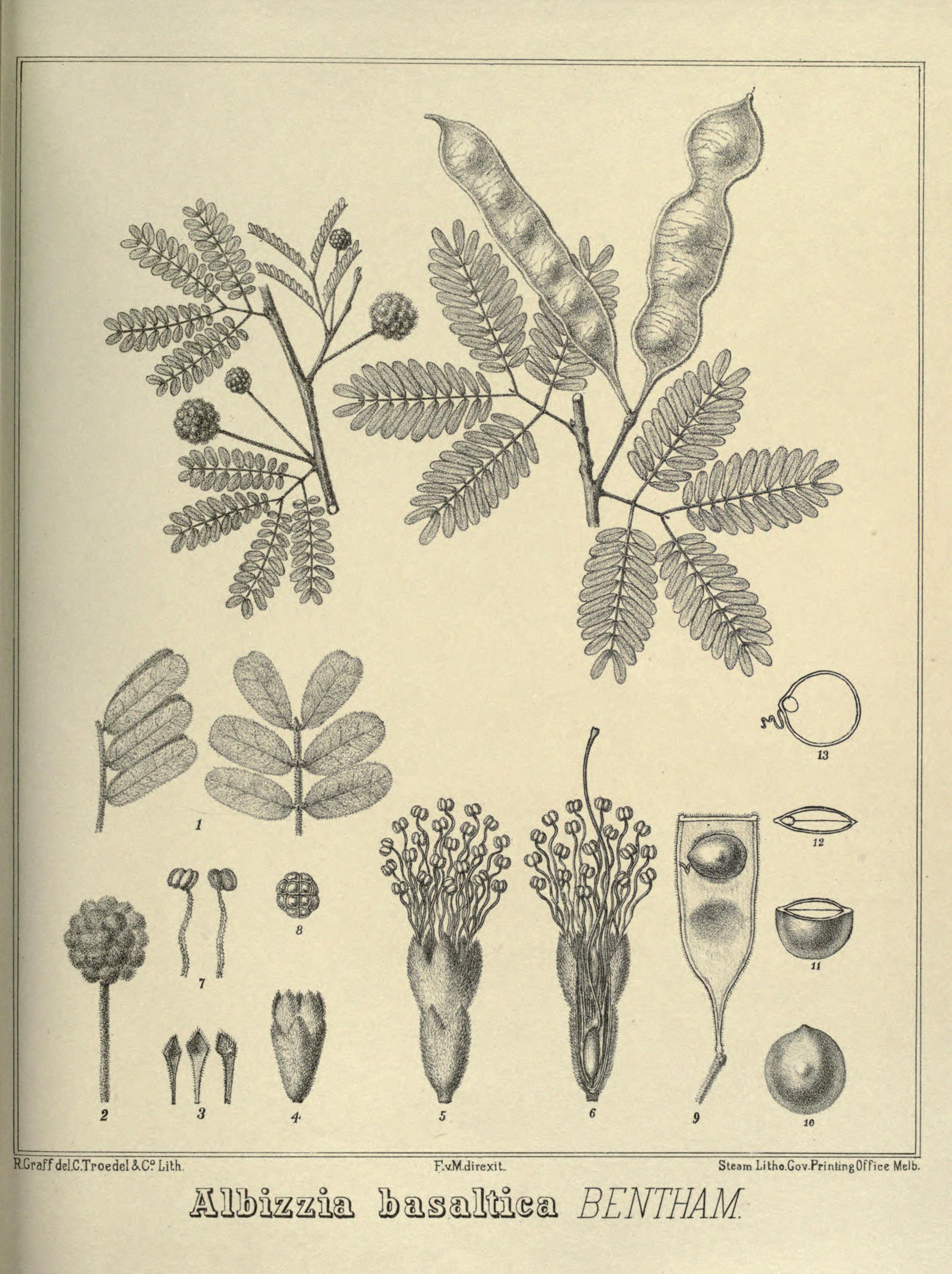 no full size  illustration available (3a)