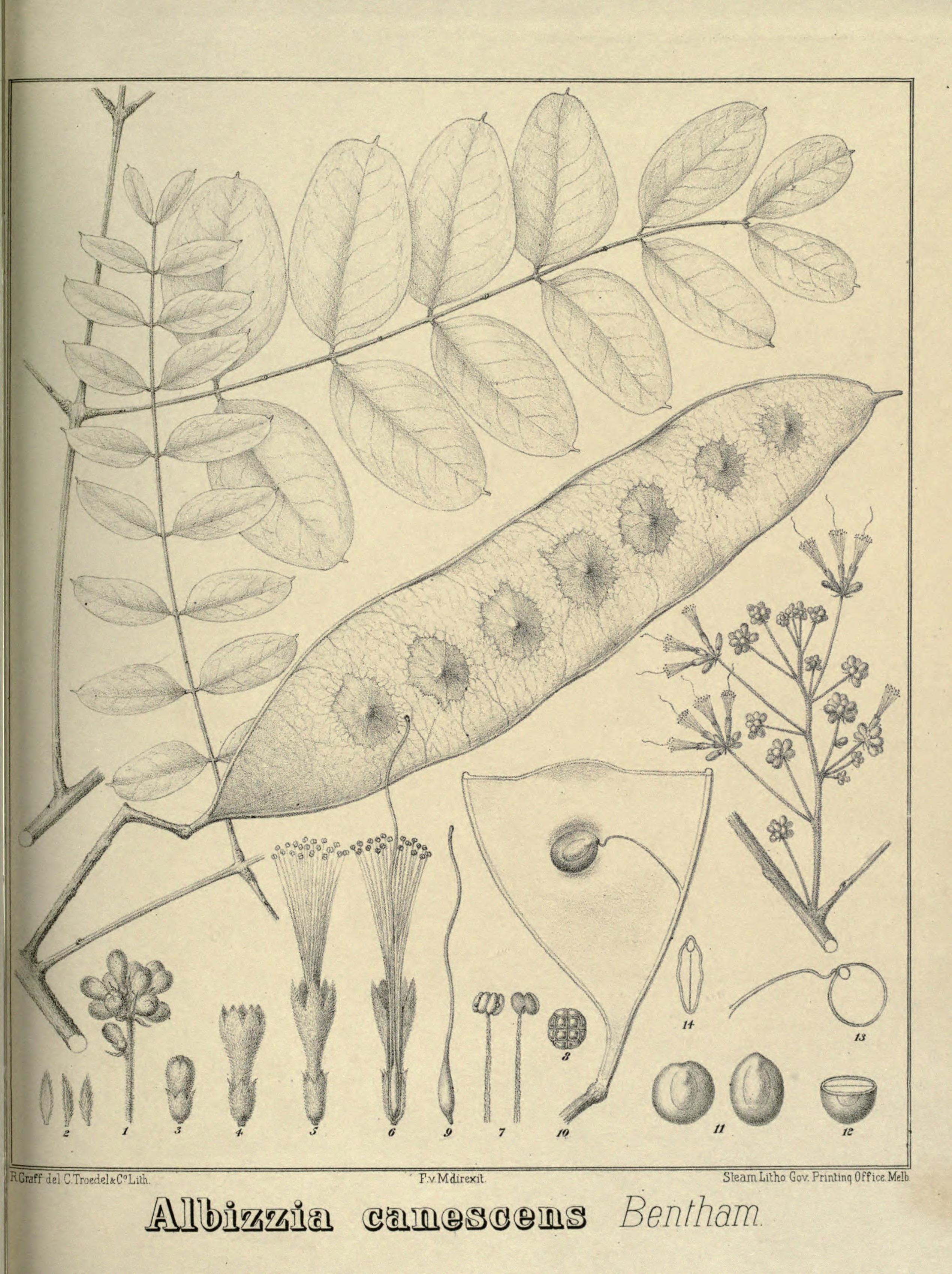 no full size  illustration available (3a)