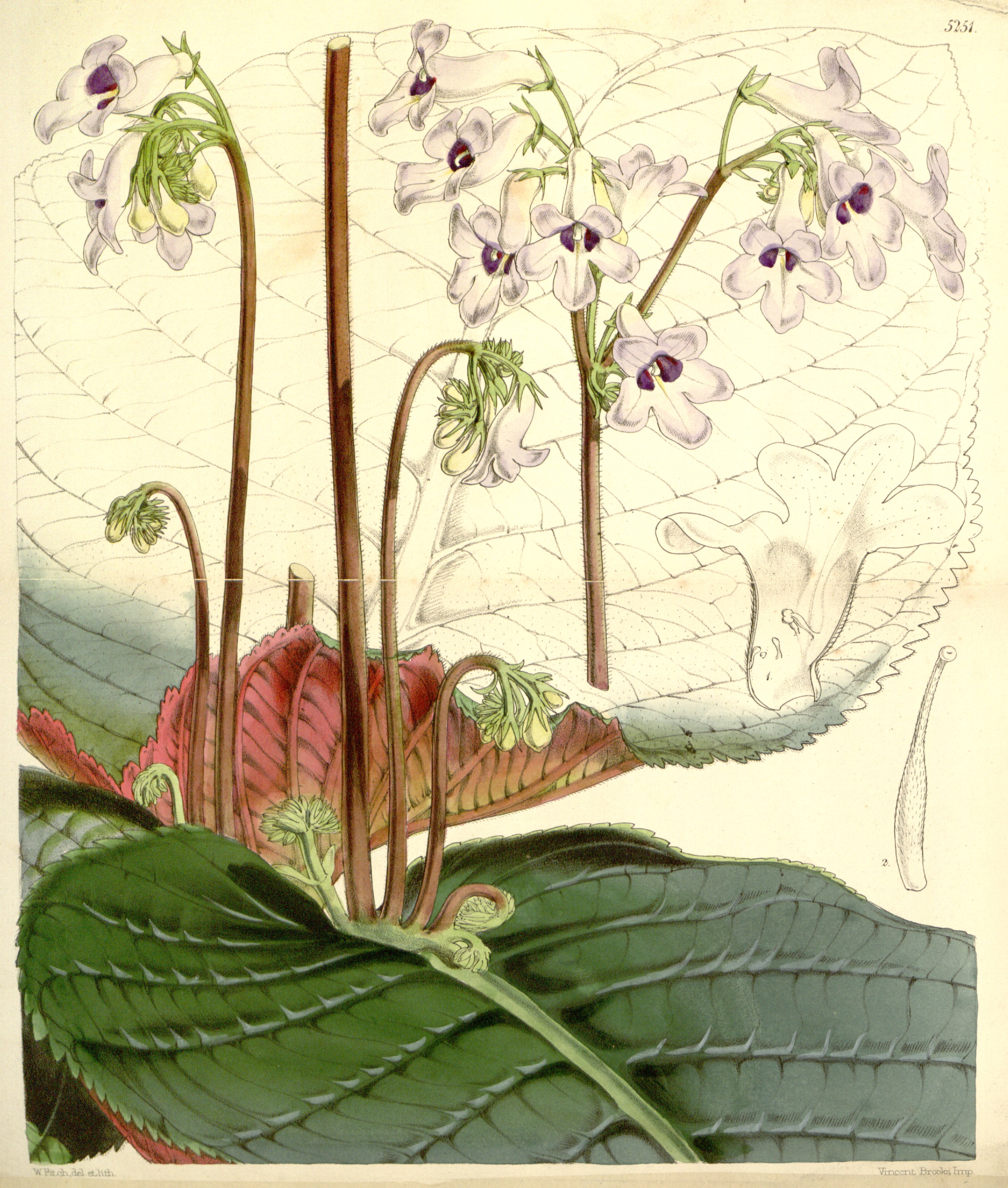 no full size  illustration available (3a)