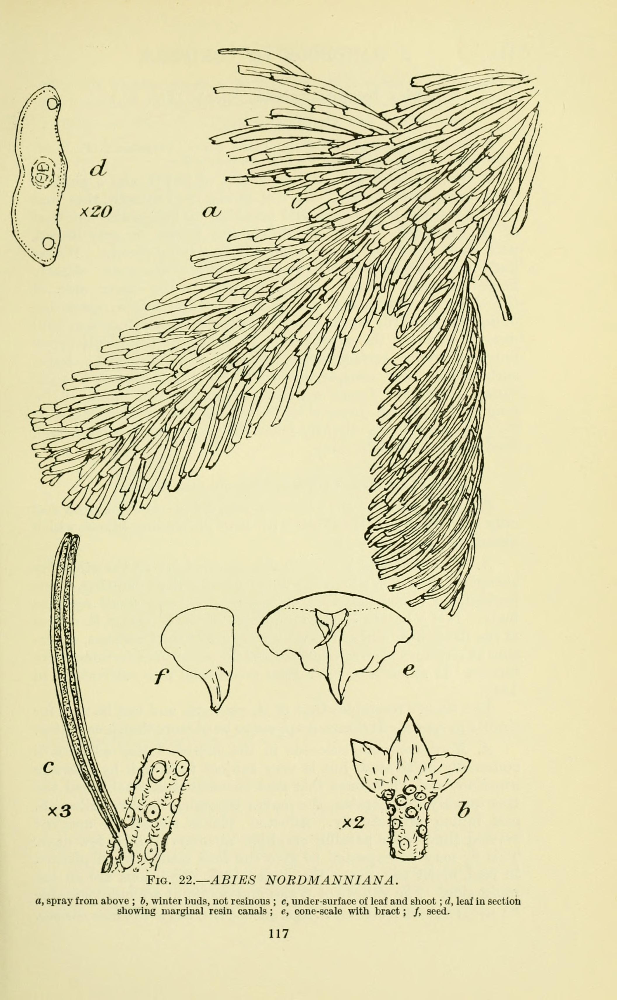 no full size  illustration available (3a)