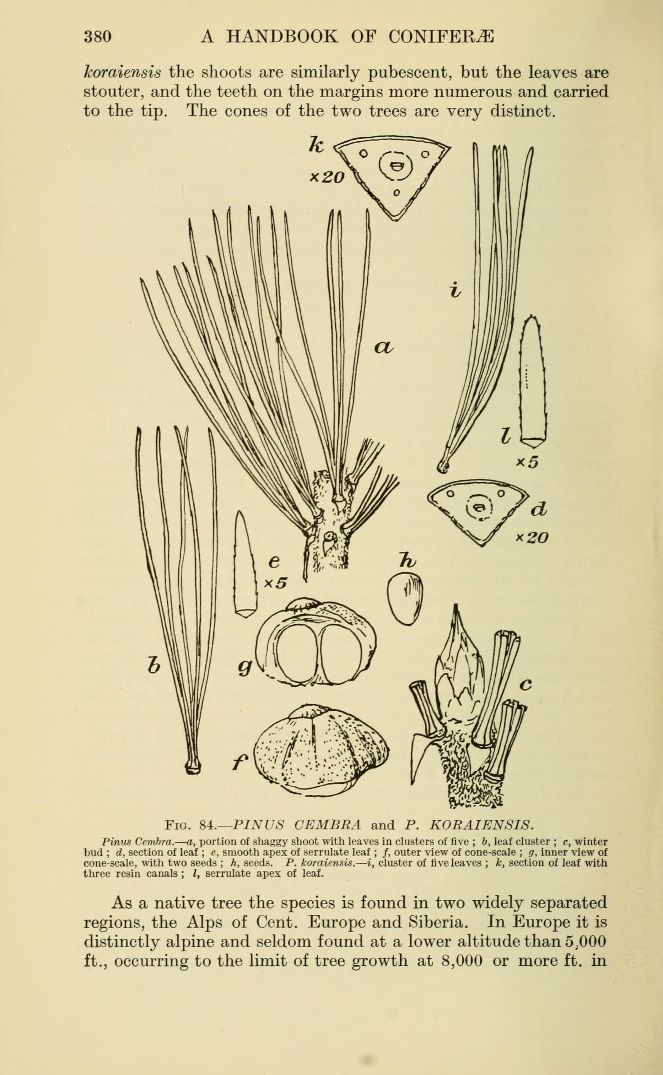 no full size  illustration available (3a)