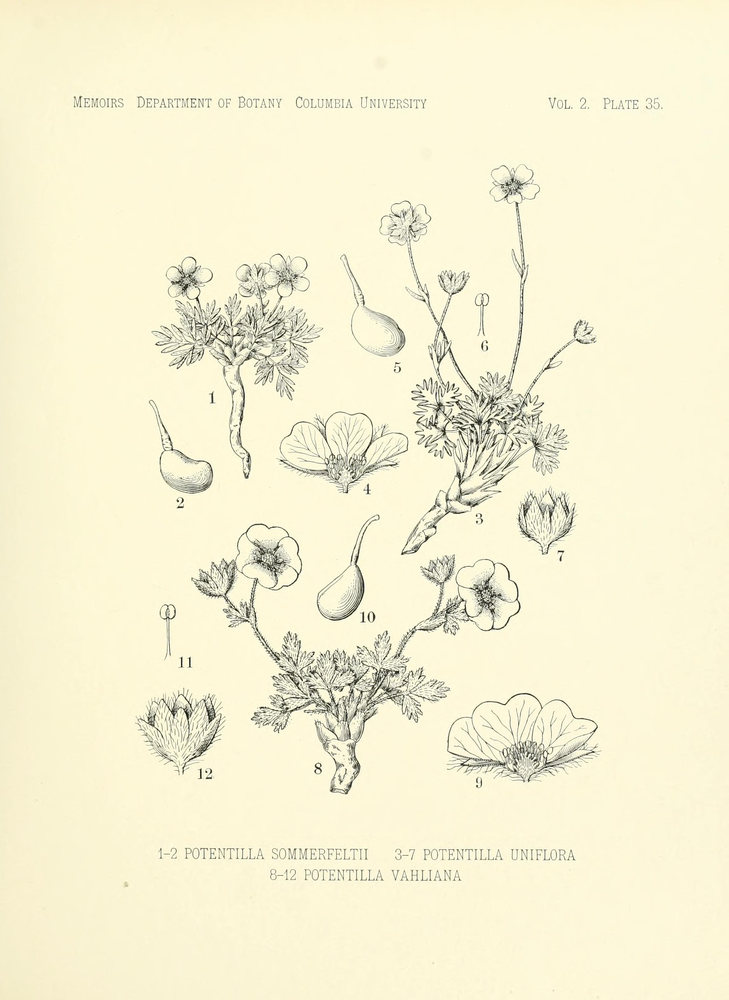 no full size  illustration available (3a)