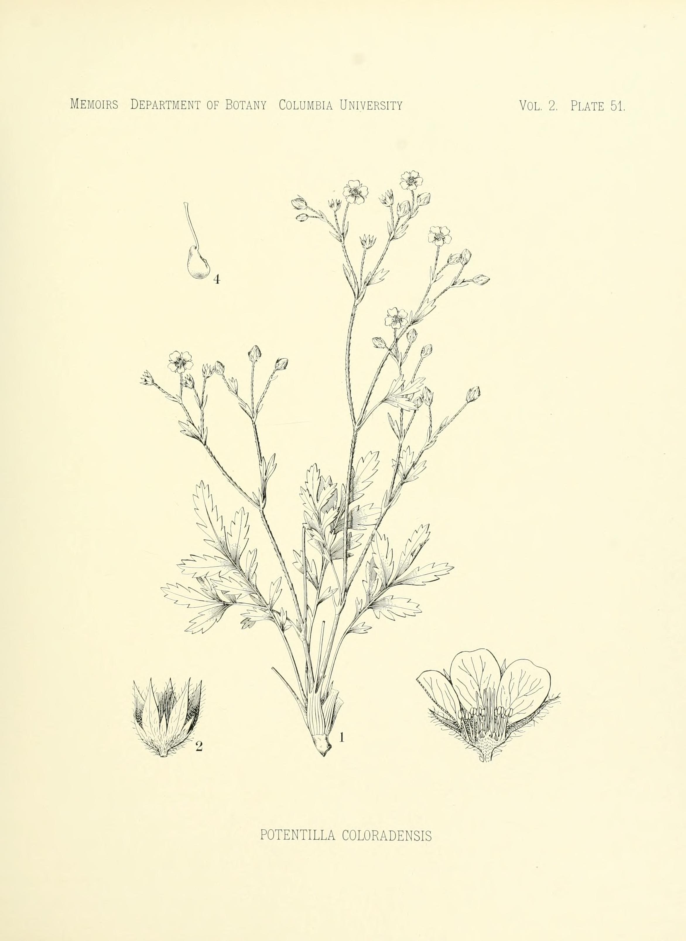 no full size  illustration available (3a)