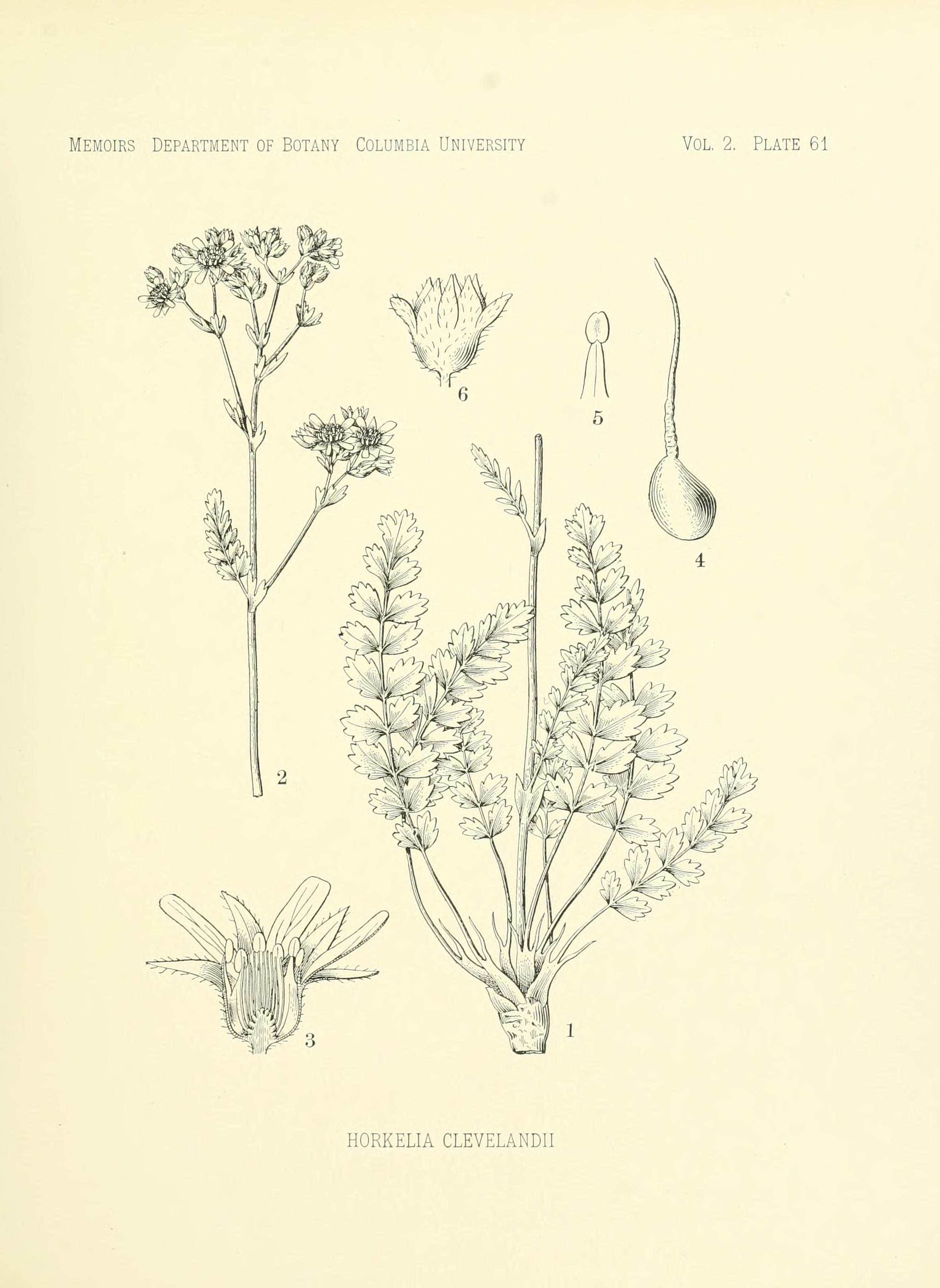 no full size  illustration available (3a)