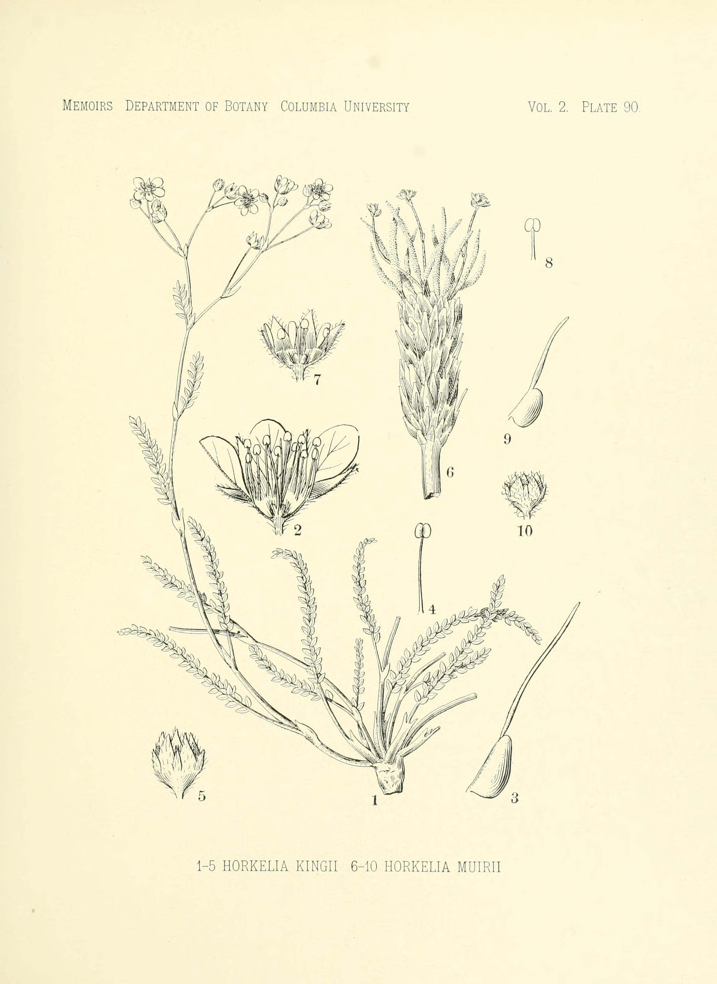 no full size  illustration available (3a)