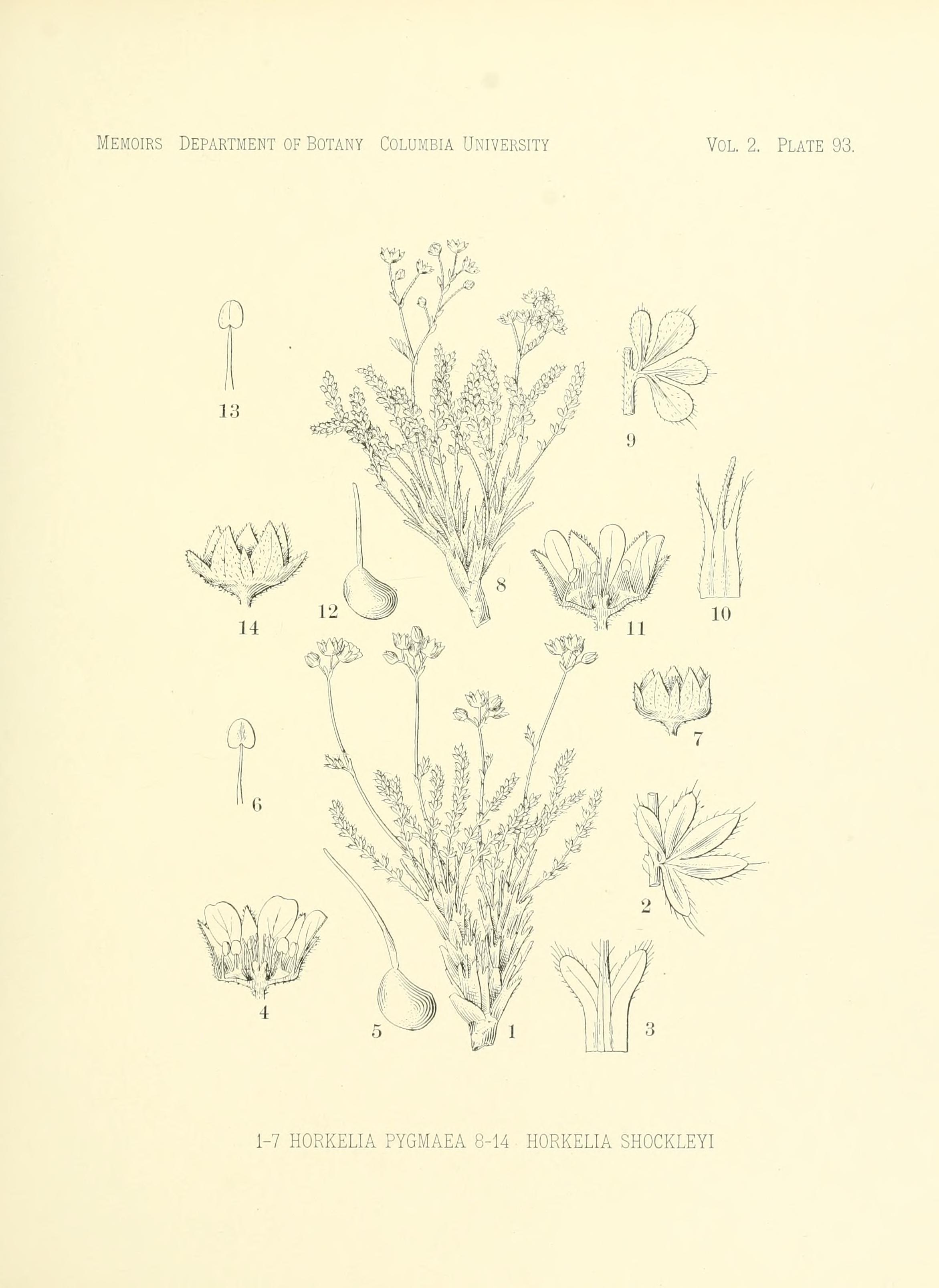 no full size  illustration available (3a)