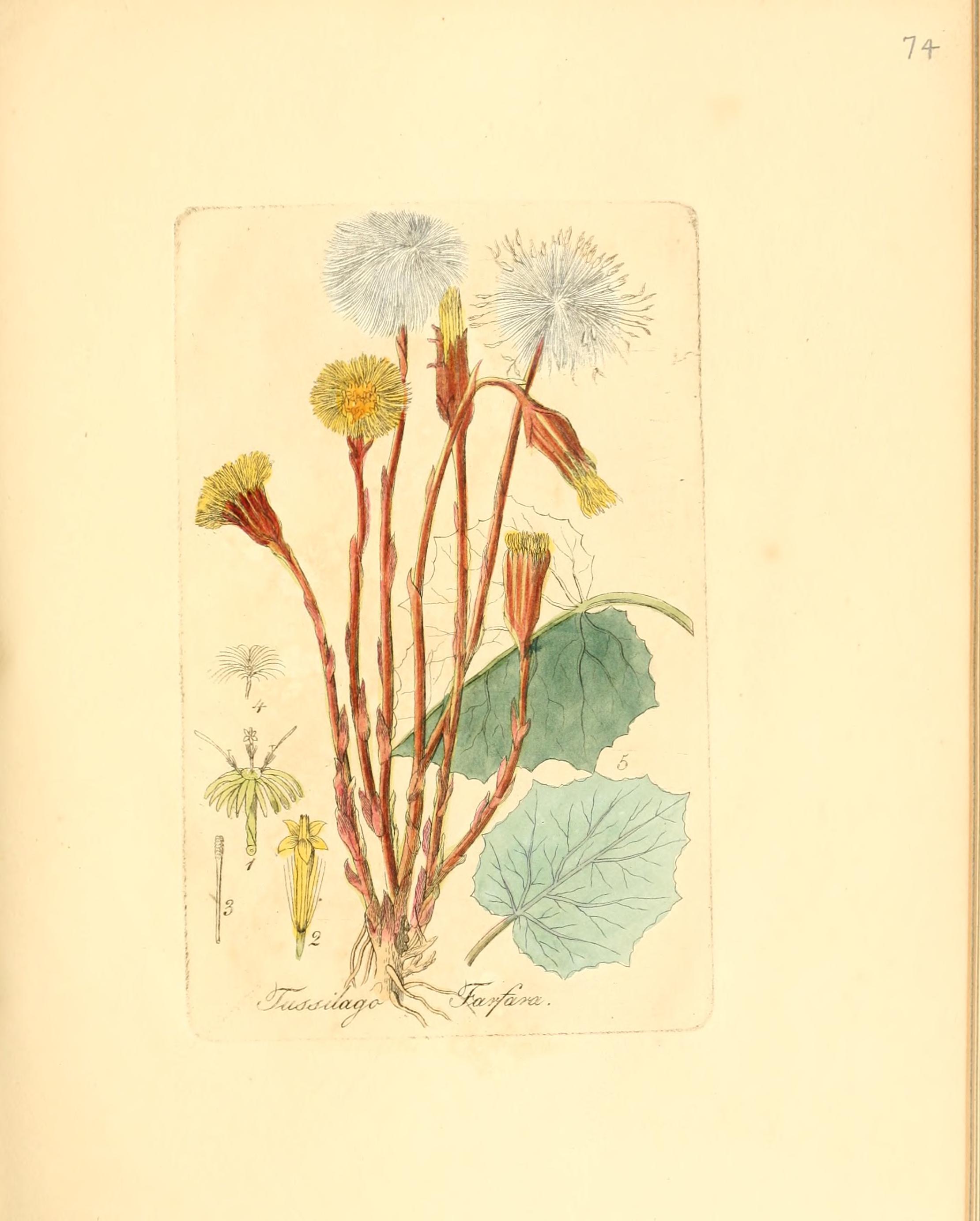 no full size  illustration available (3a)