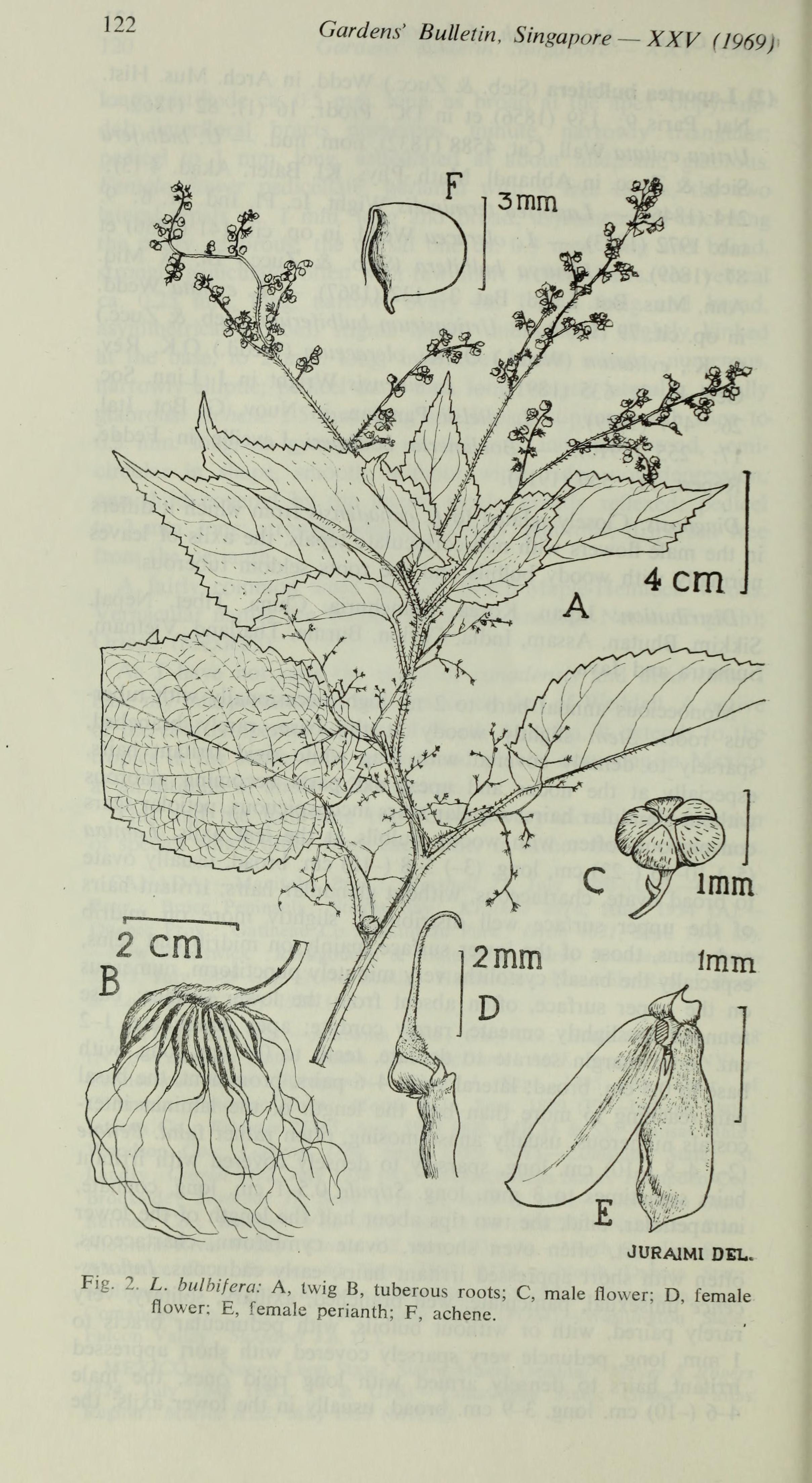 no full size  illustration available (3a)