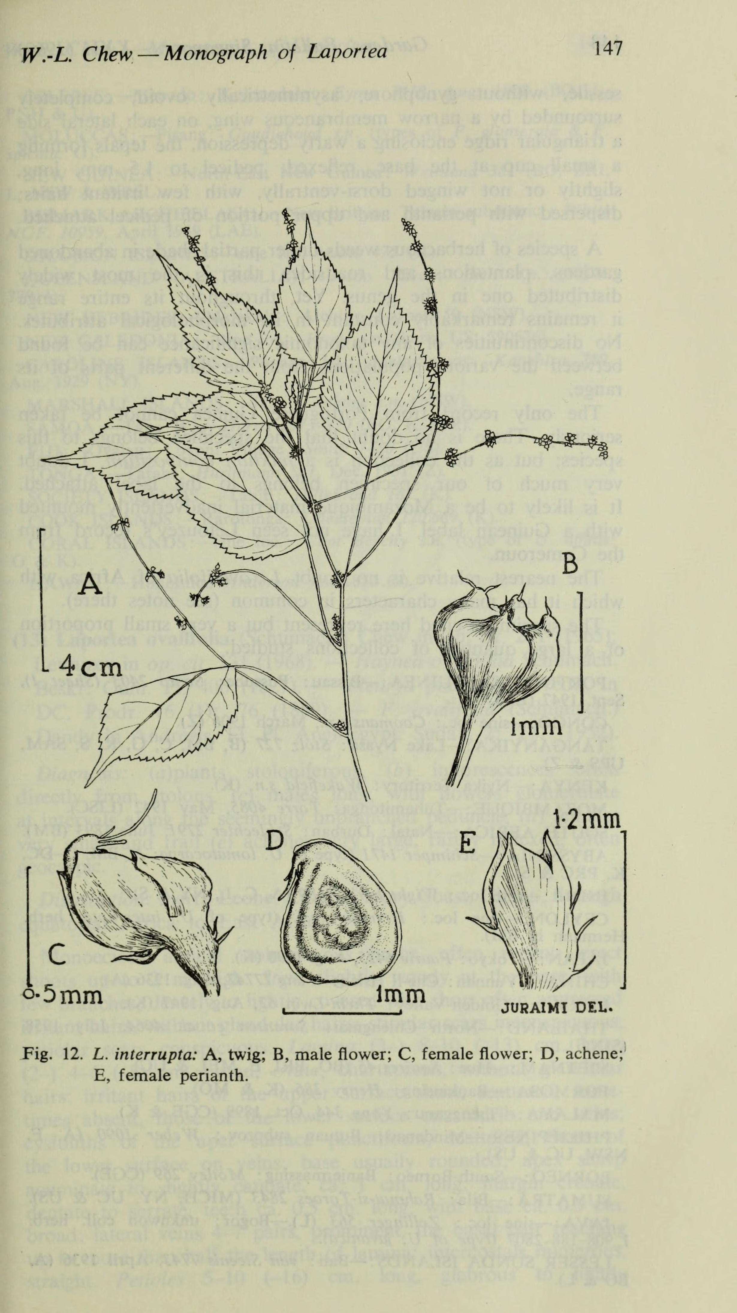no full size  illustration available (3a)