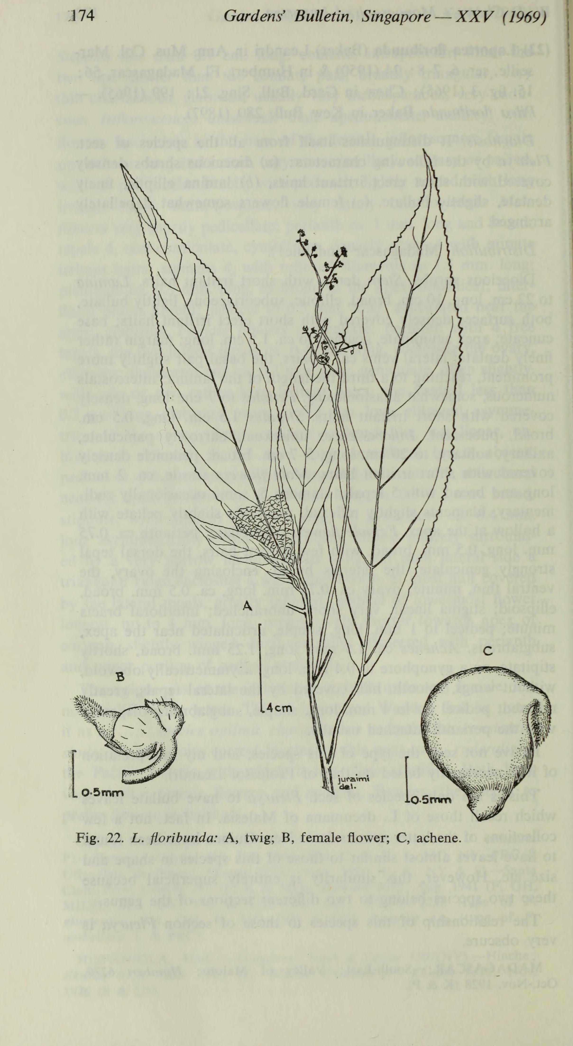 no full size  illustration available (3a)