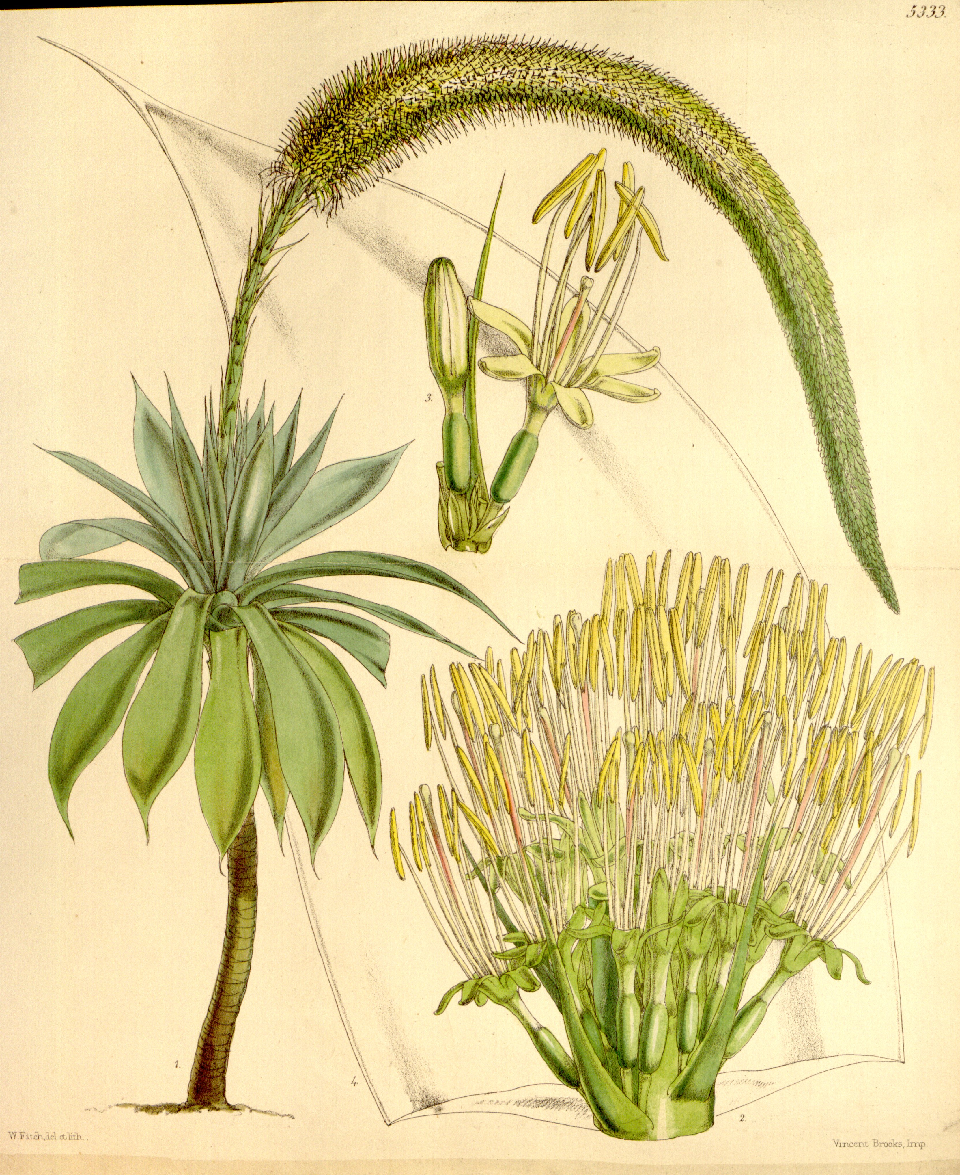 no full size  illustration available (3a)