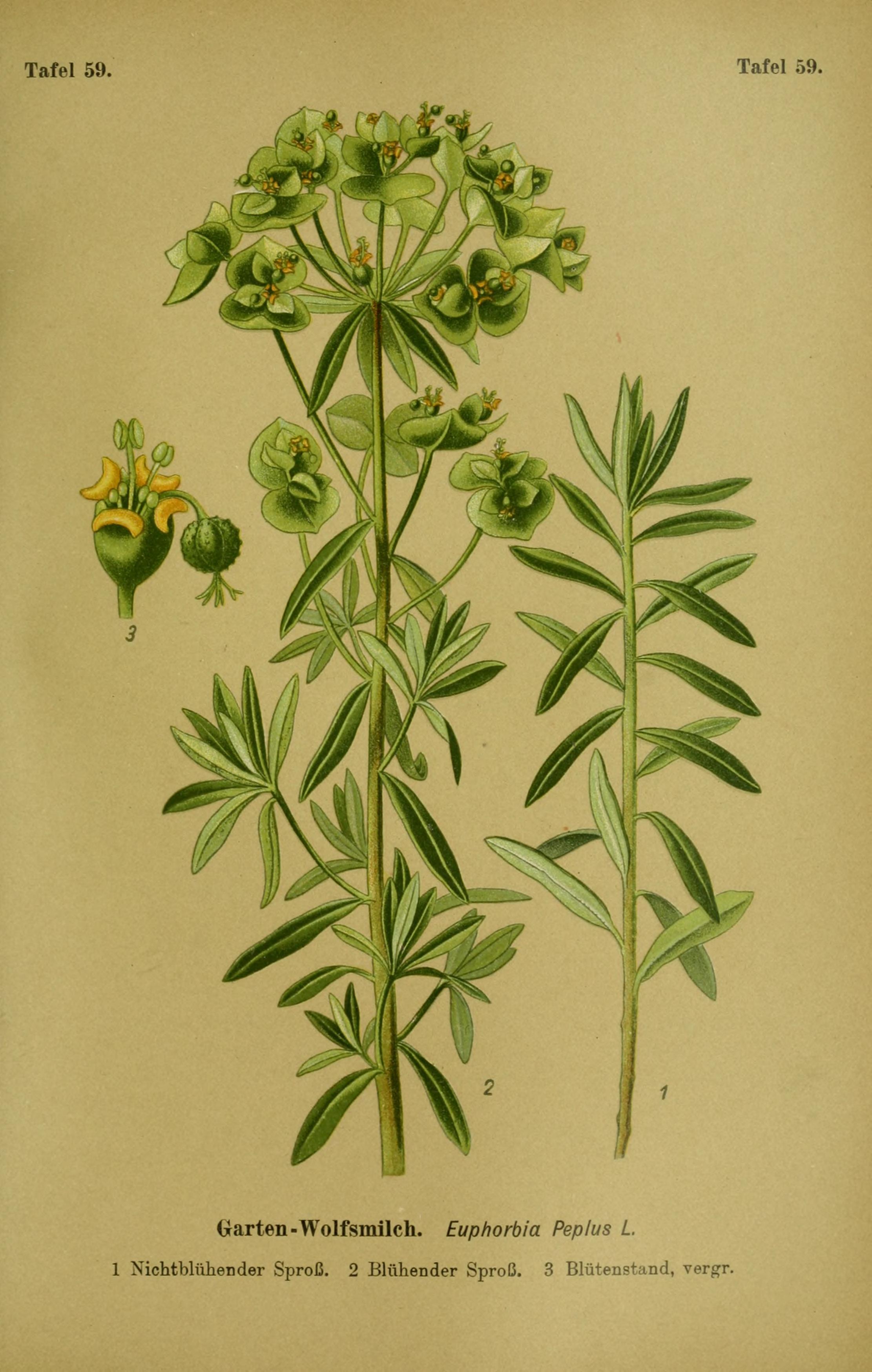 no full size  illustration available (3a)