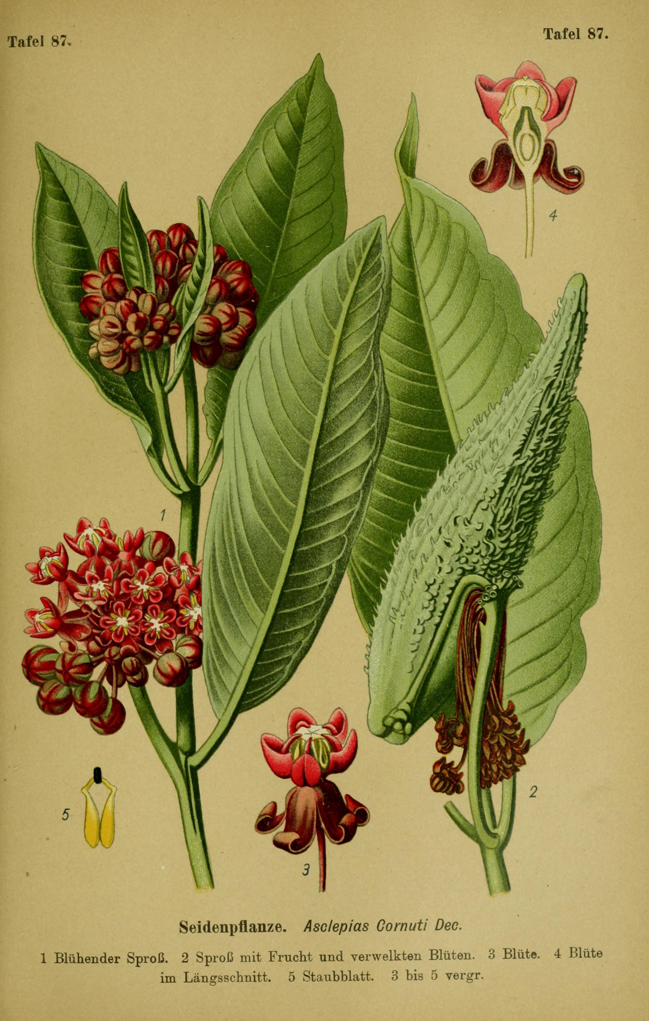 no full size  illustration available (3a)